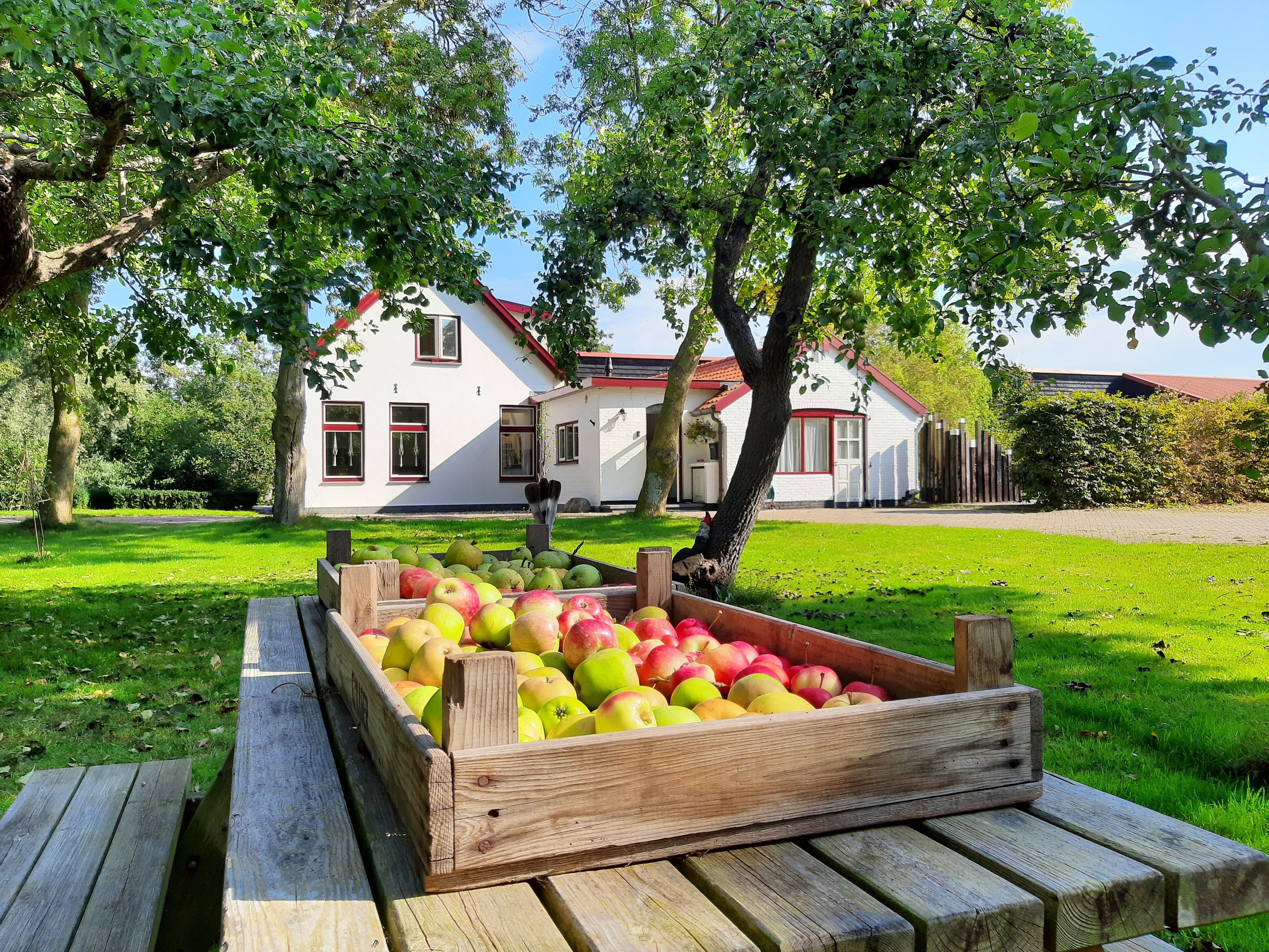 Naturhäuschen in De Cocksdorp