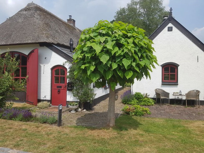 Maison nature à Loenen