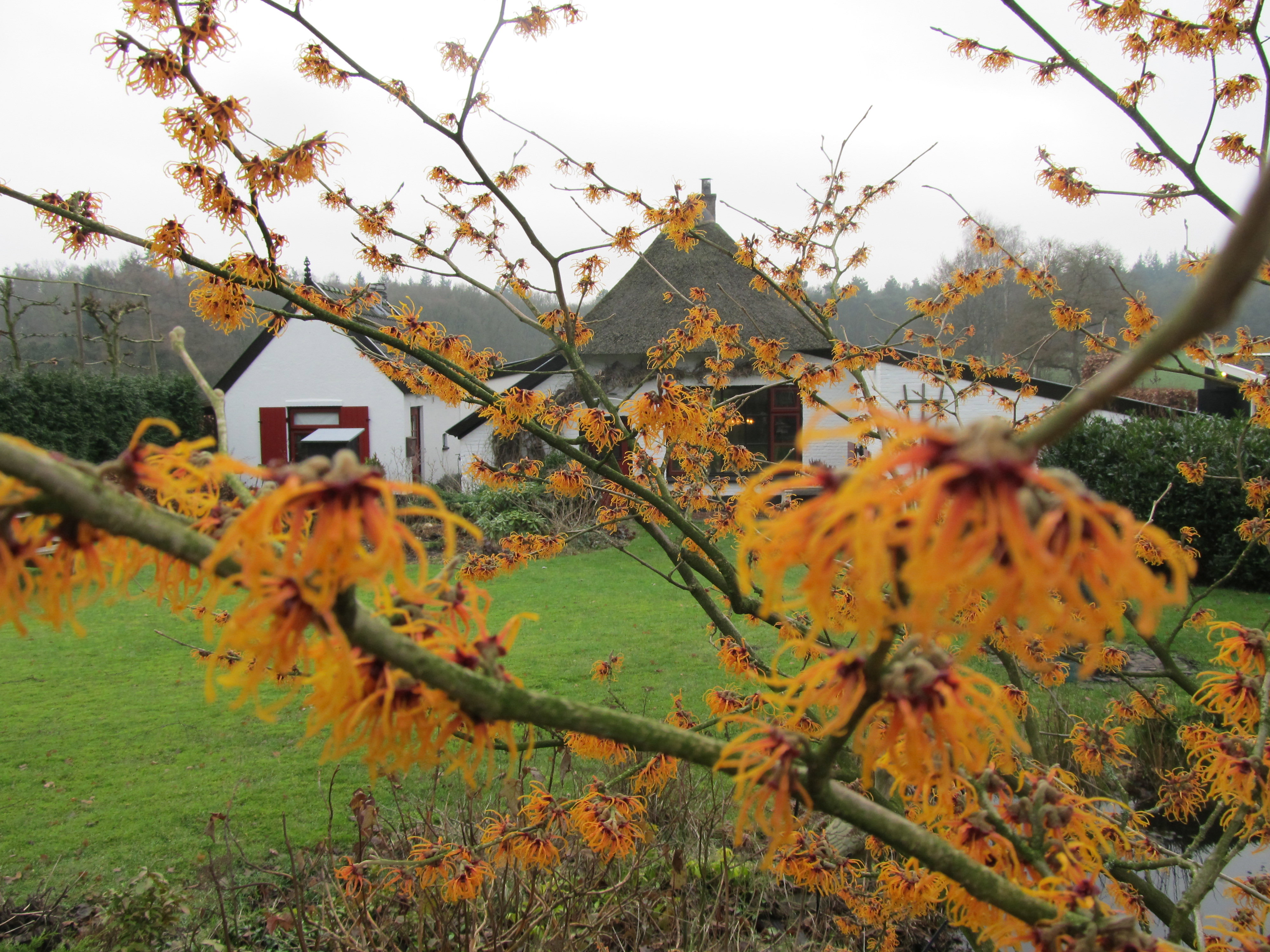 Maison nature à Loenen