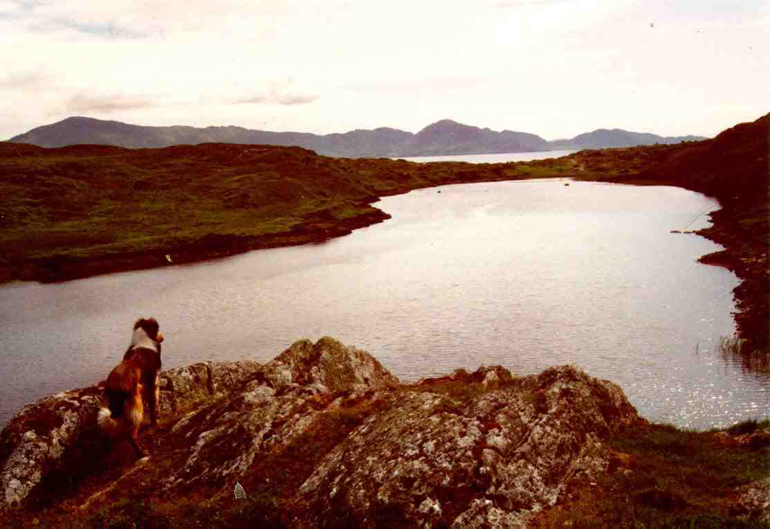 - image: 19