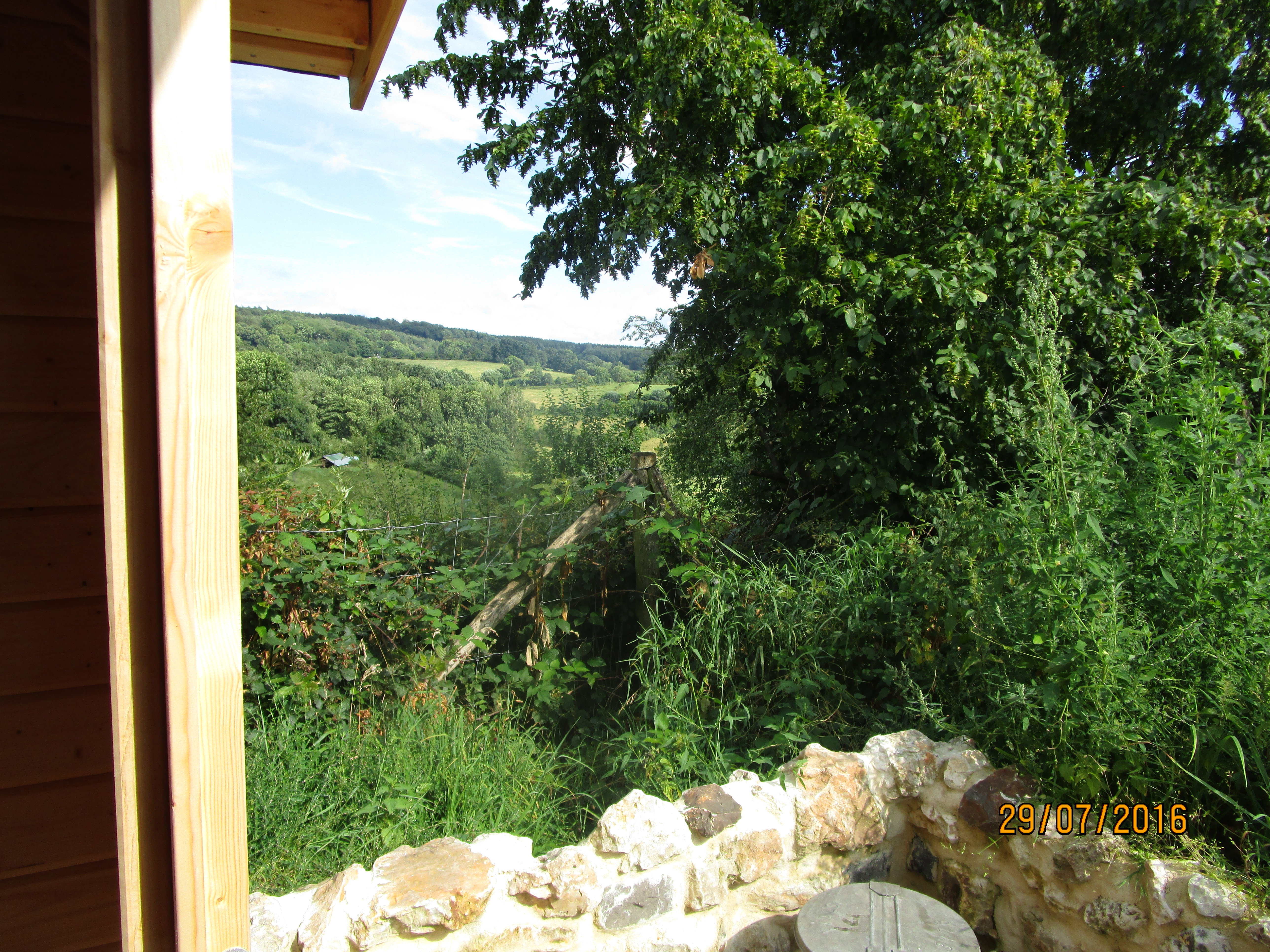 - image: 19