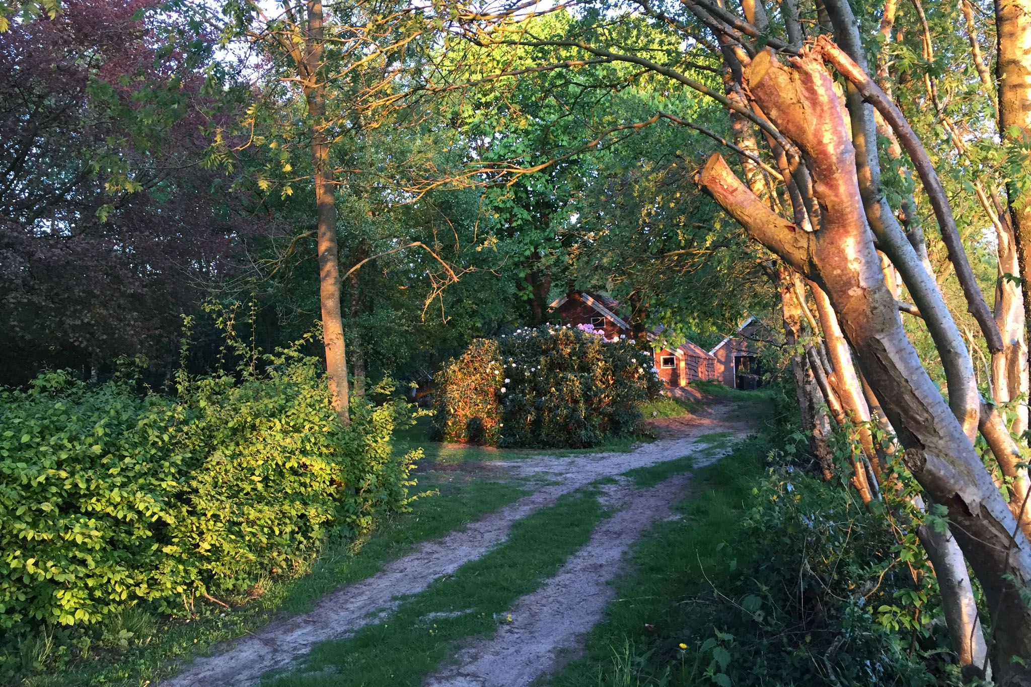 Naturhäuschen in Vriescheloo
