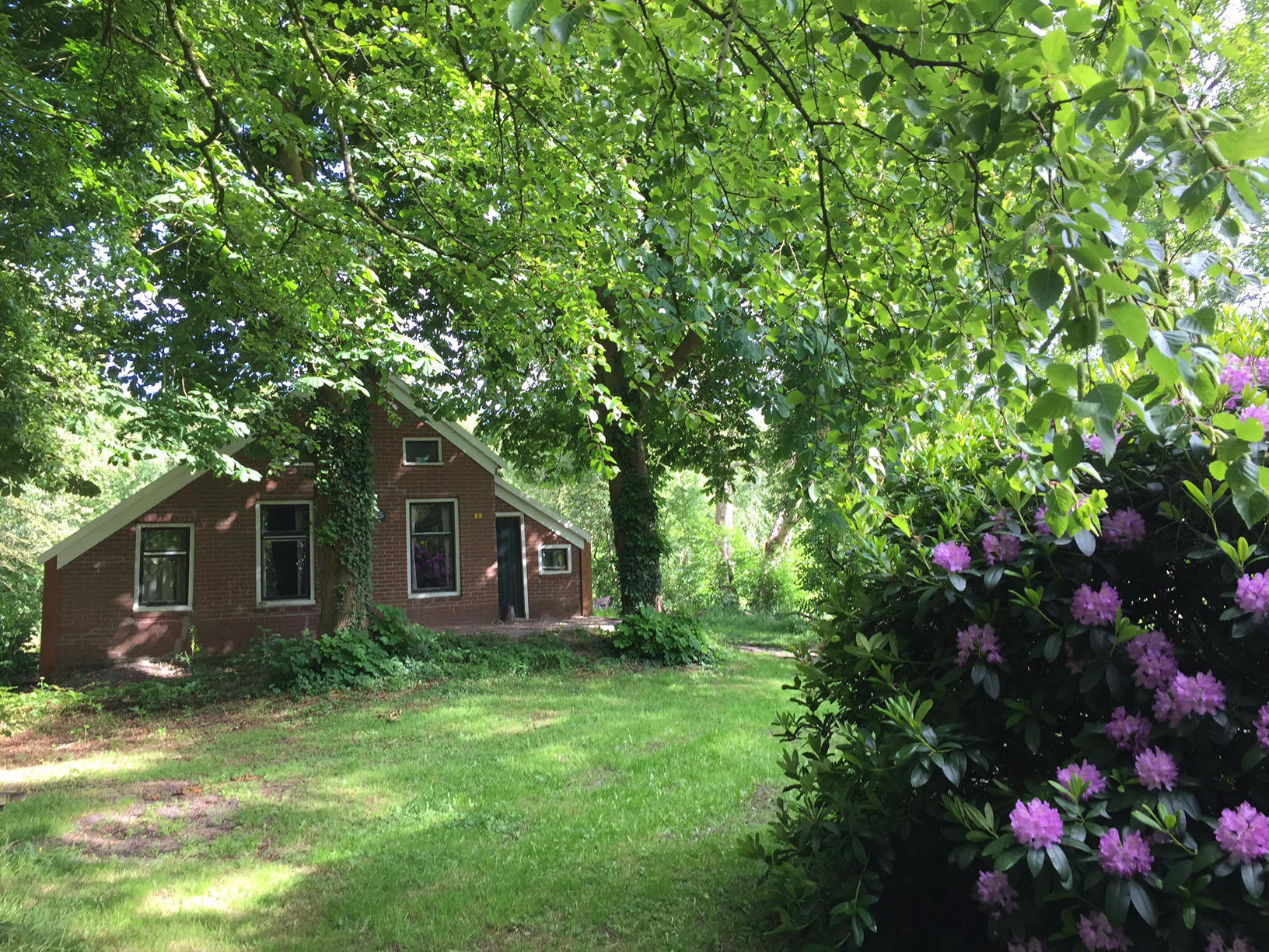 Natuurhuisje in Vriescheloo