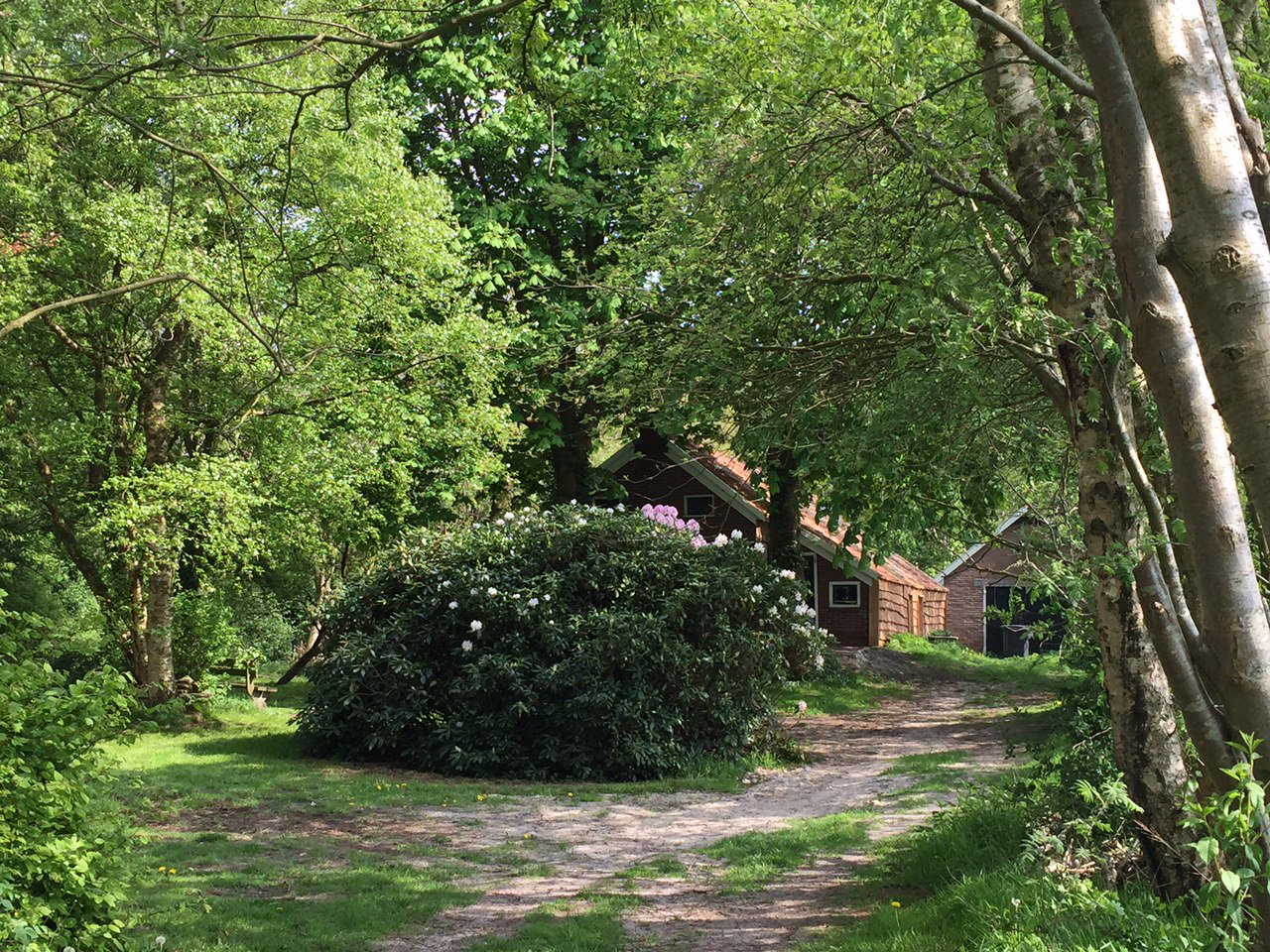 Naturhäuschen in Vriescheloo