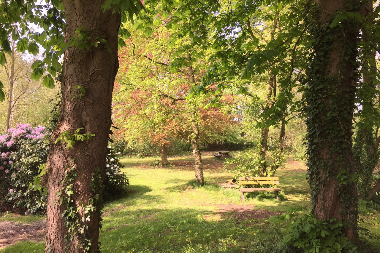 Naturhäuschen in Vriescheloo