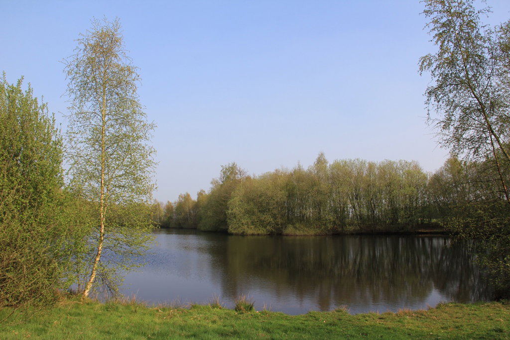 - image: 23