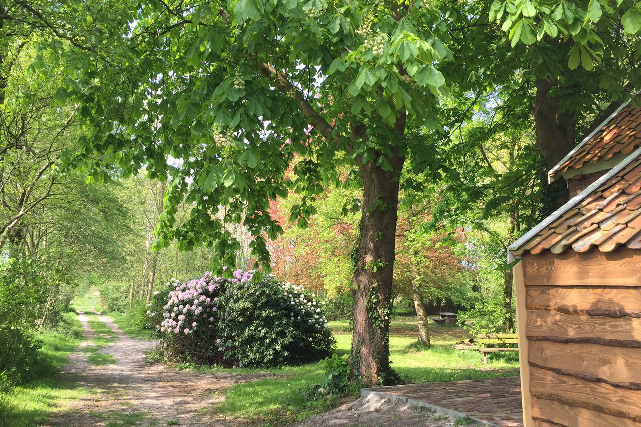 Naturhäuschen in Vriescheloo