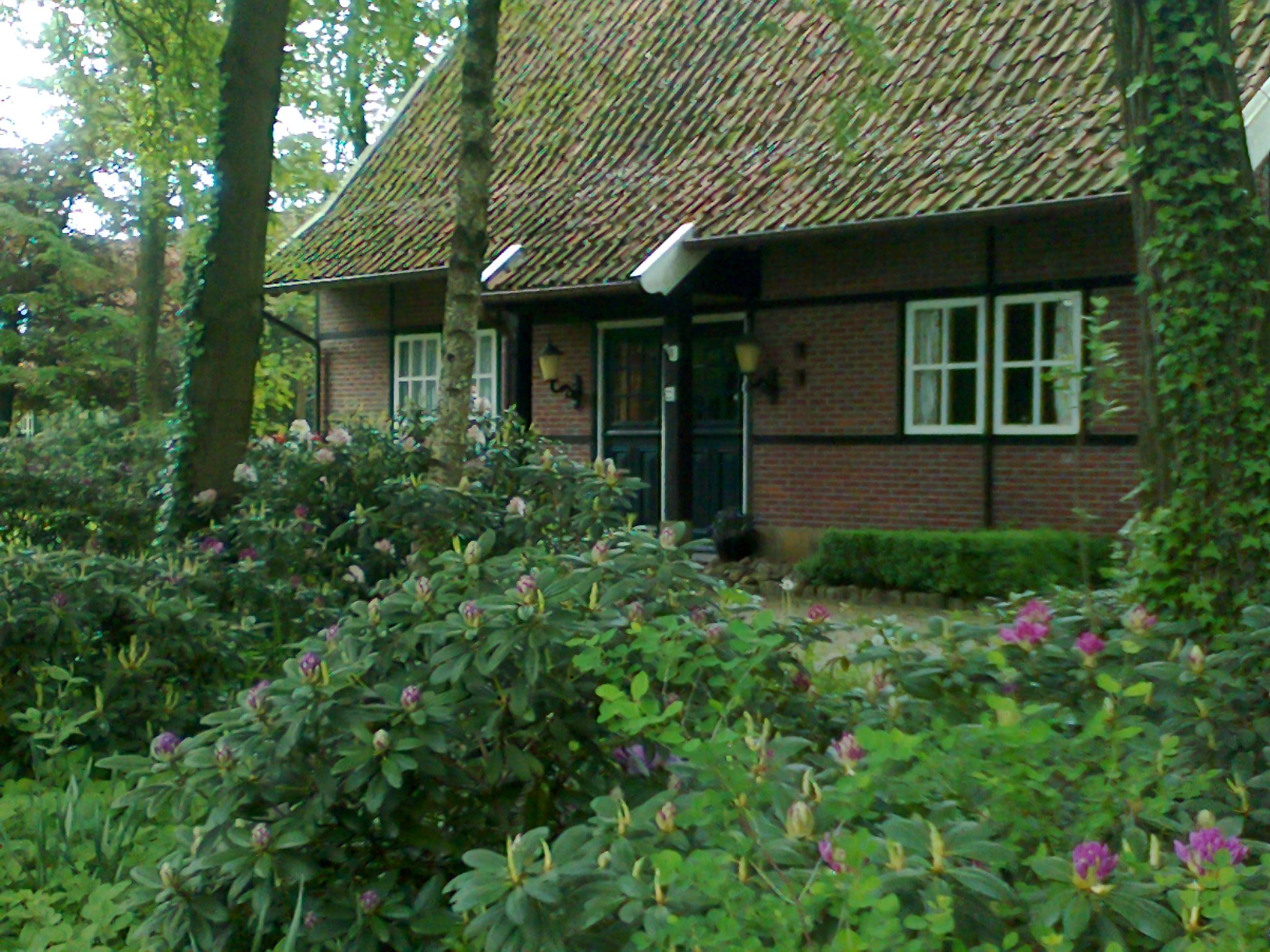 Naturhäuschen in Vasse