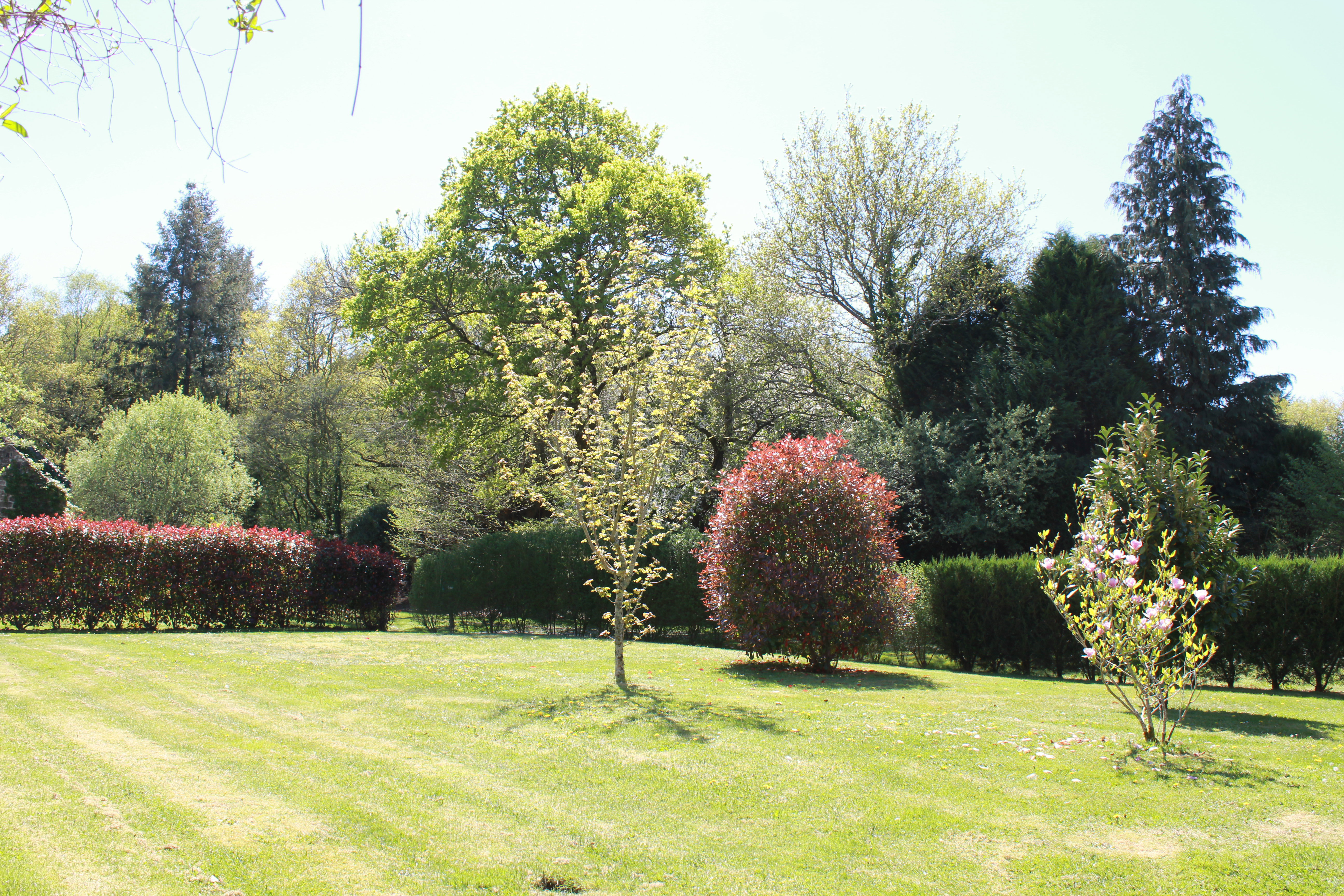 Maison nature à Ploerdut