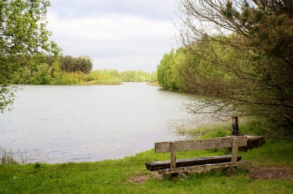 - image: 26