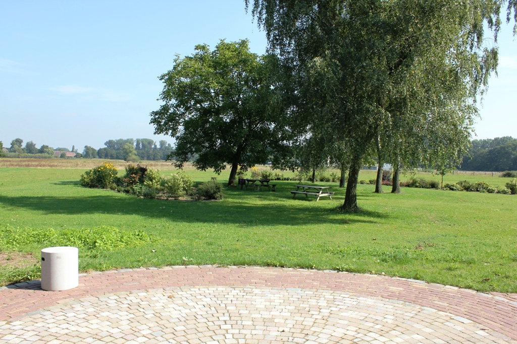 - image: 16