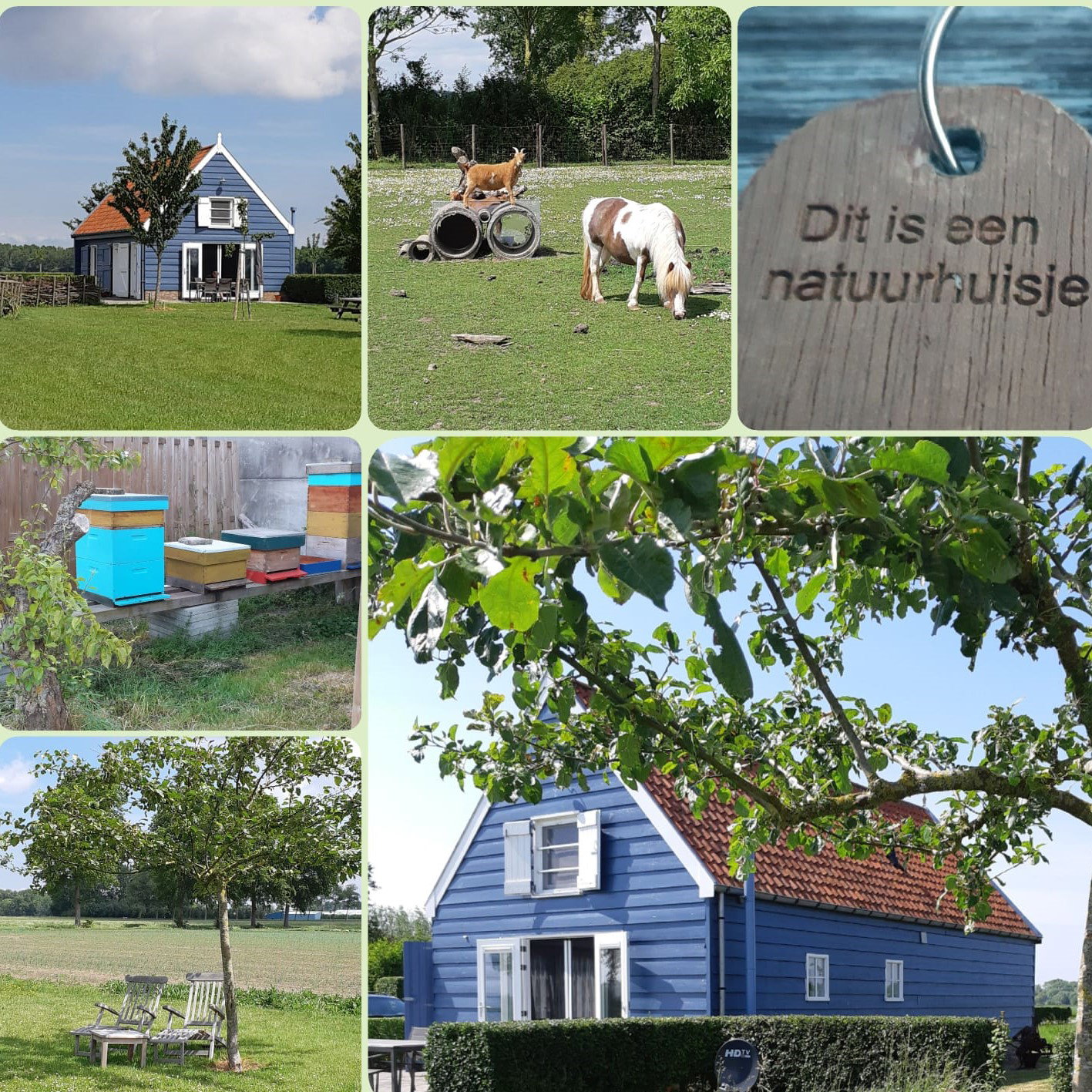 Naturhäuschen in Sluis