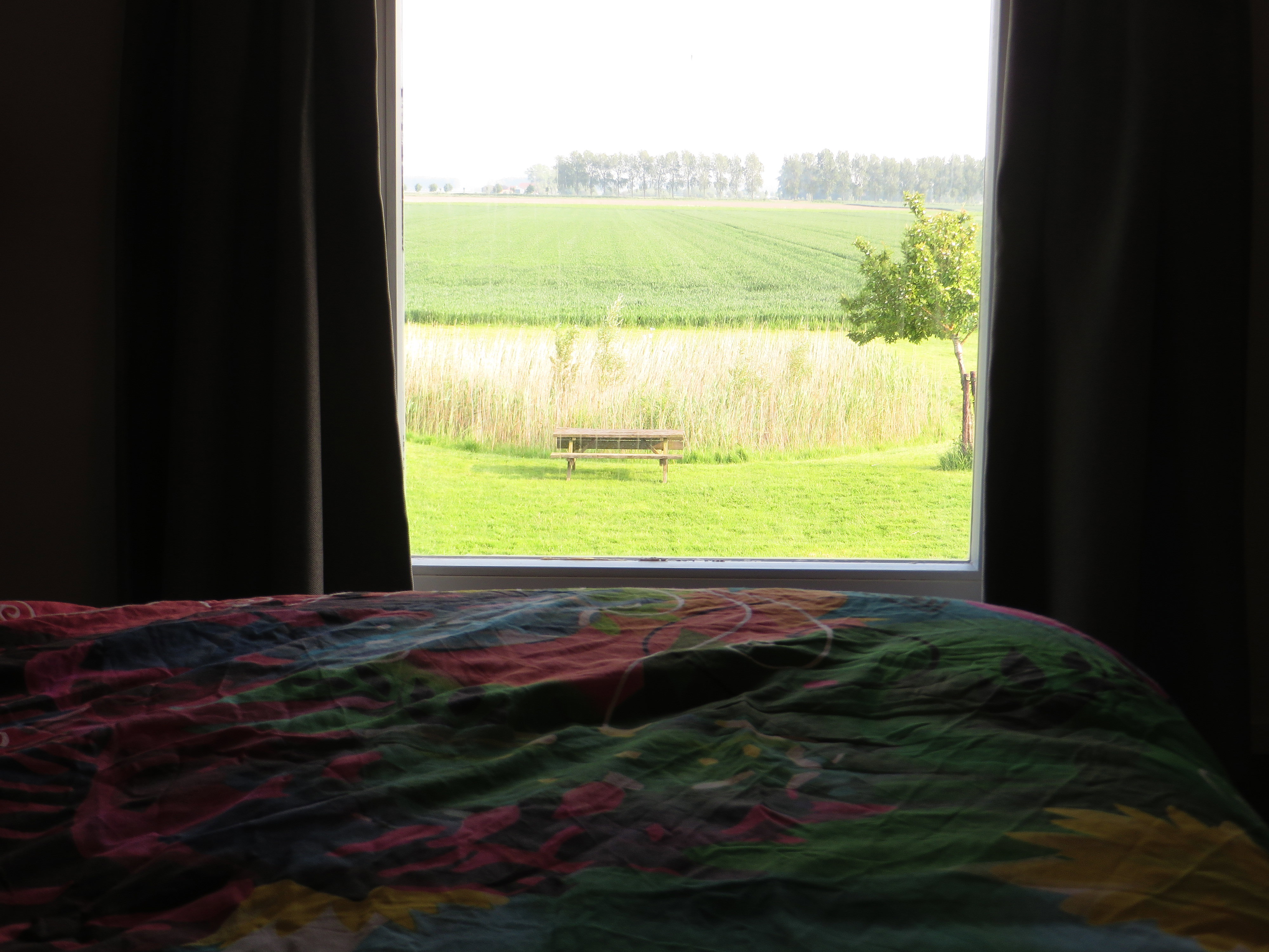 - image: 16
