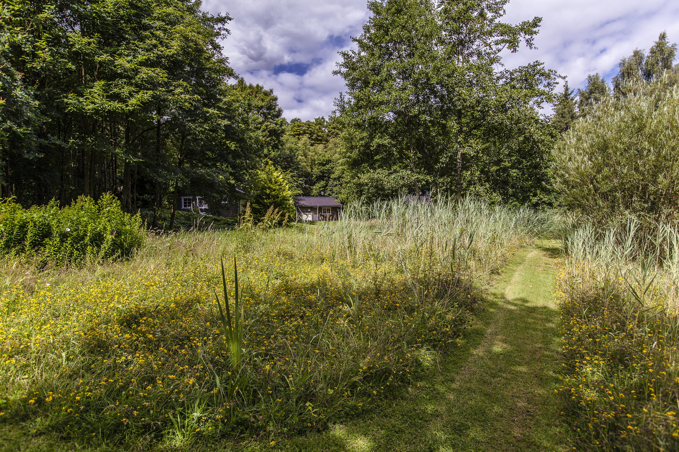 Maison nature à Appelscha