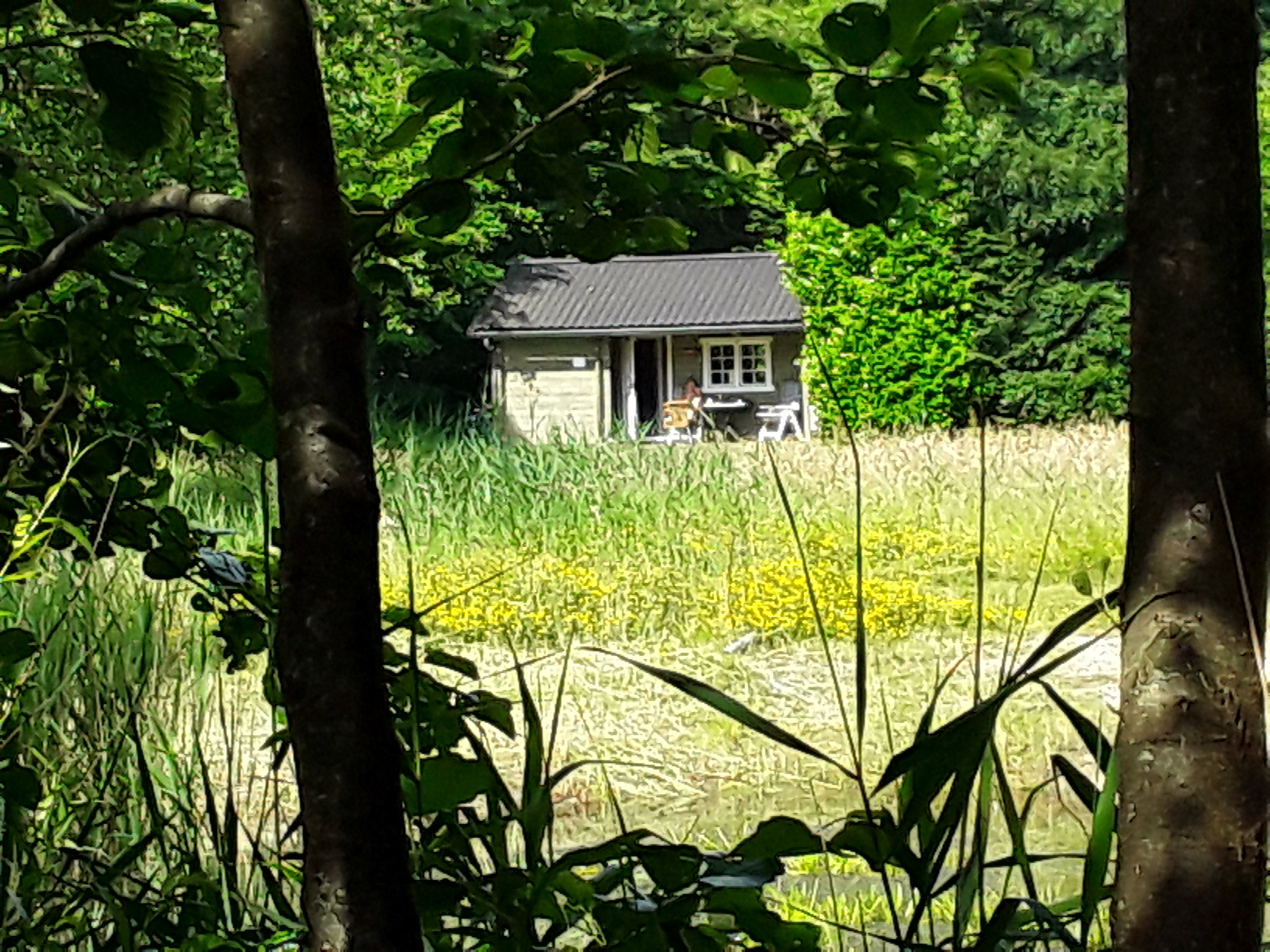 Maison nature à Appelscha