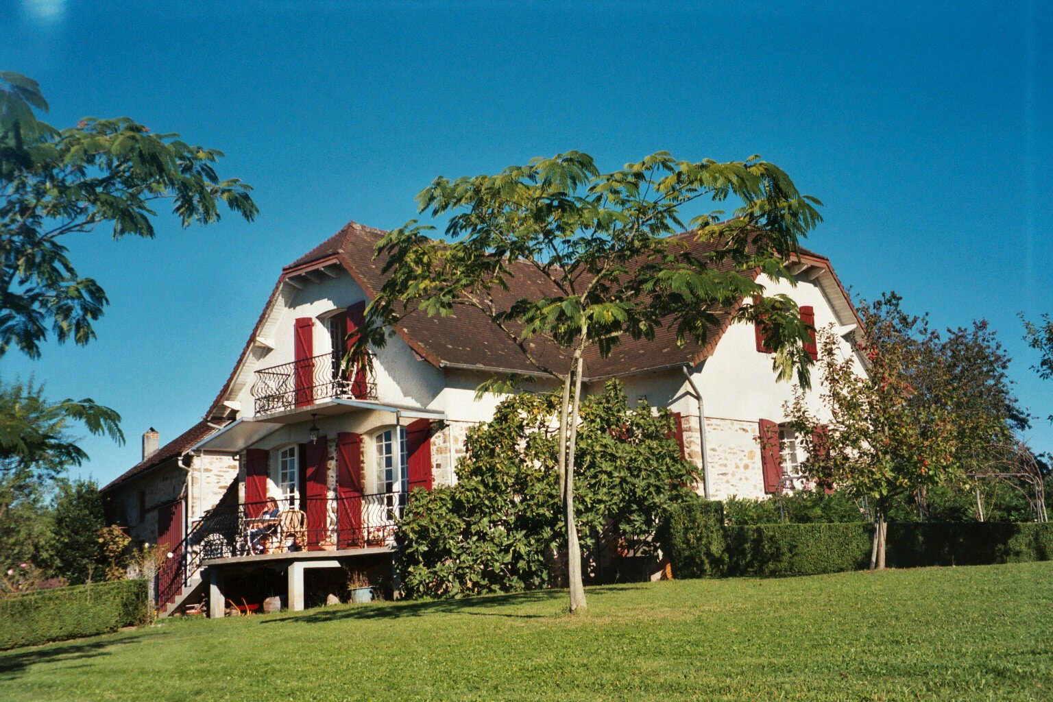 - image: 1