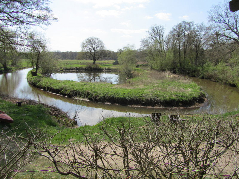 - image: 12