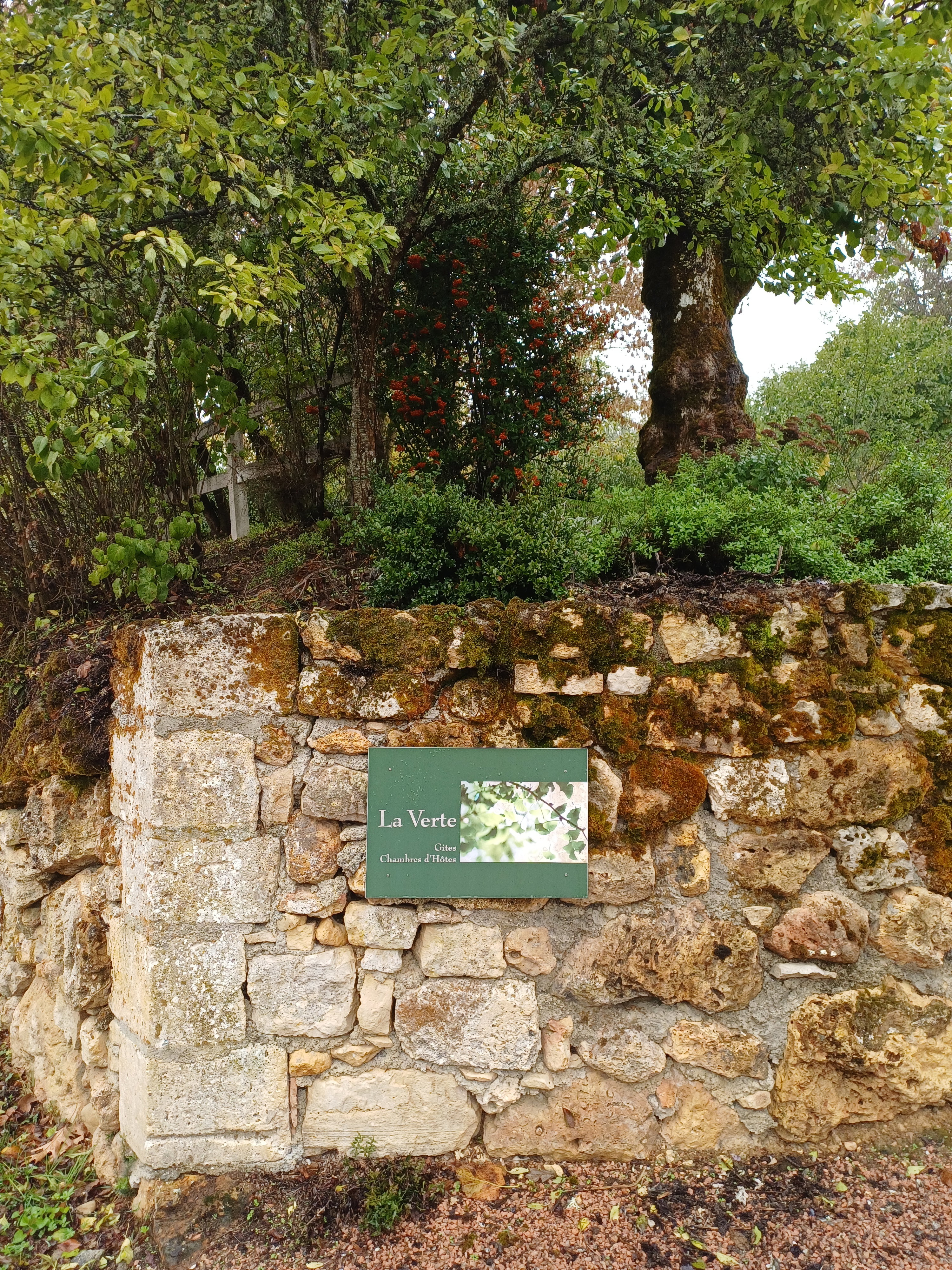 - image: 14