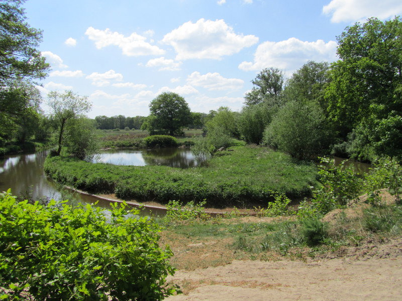 - image: 12