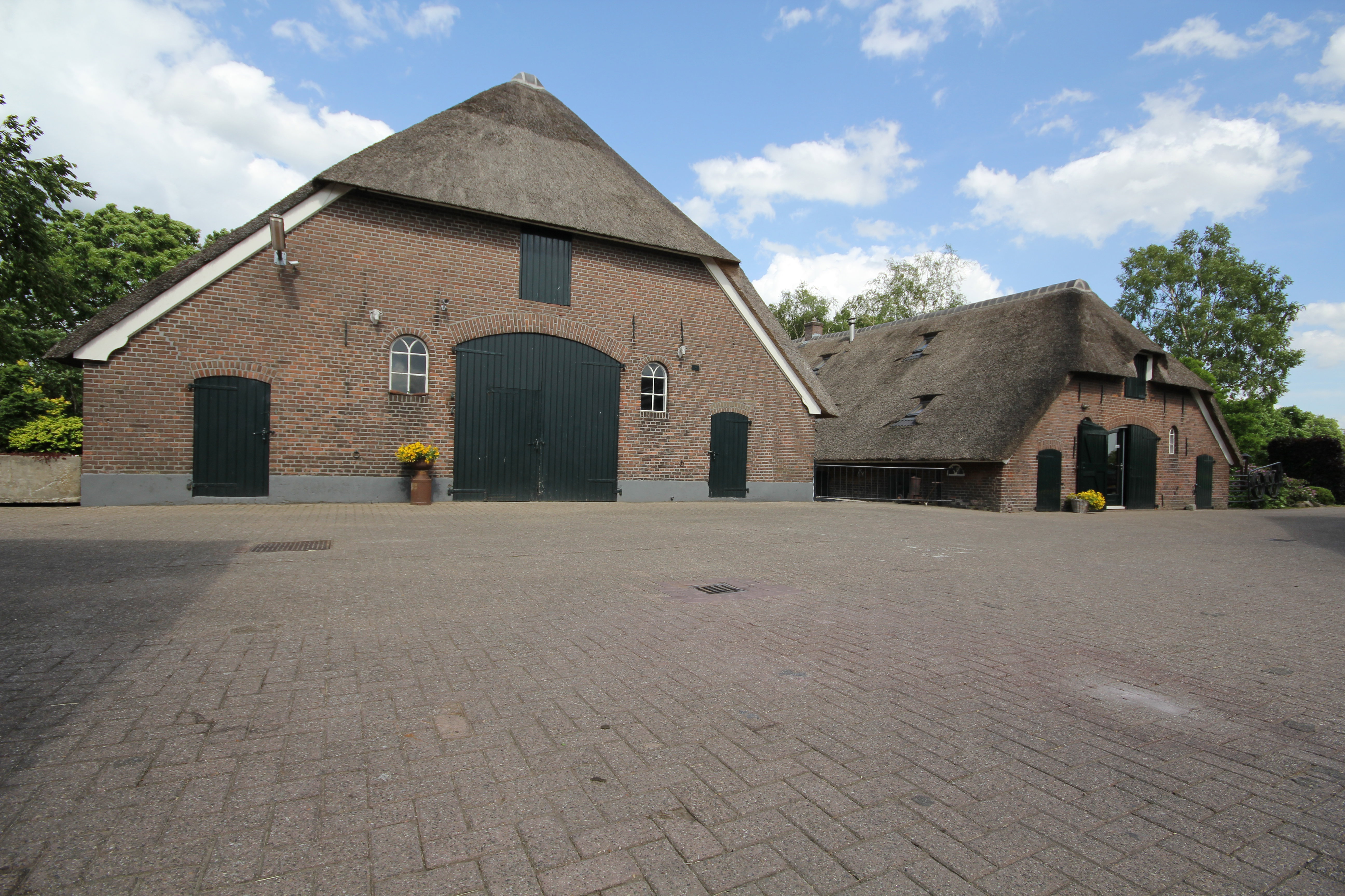 - image: 21