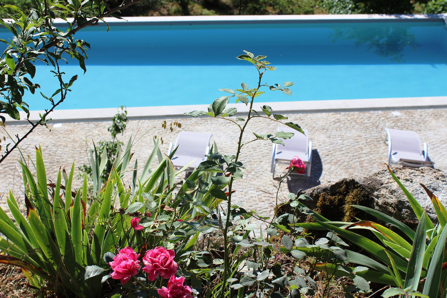 Casa nella natura a Tondela