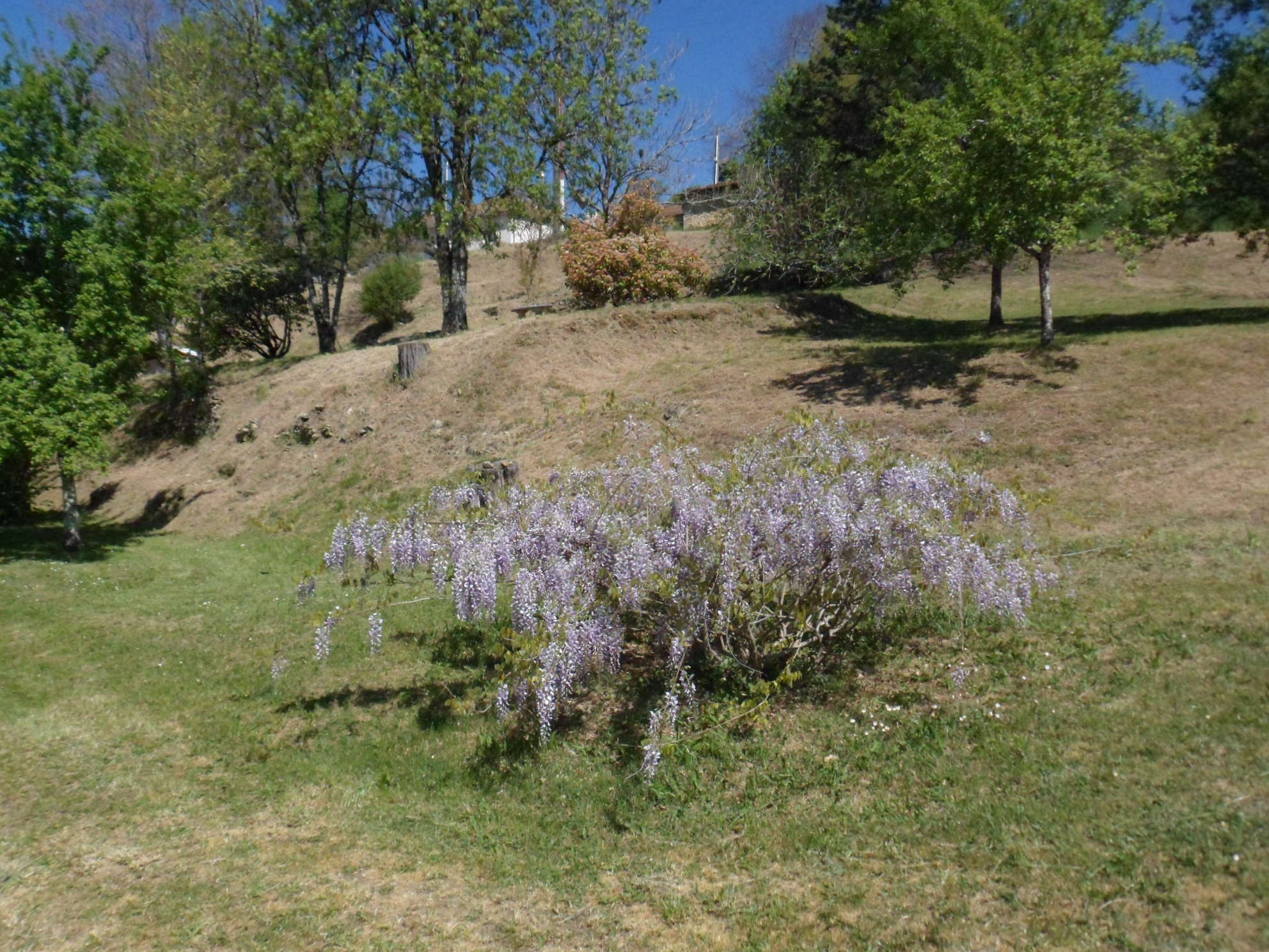 - image: 26