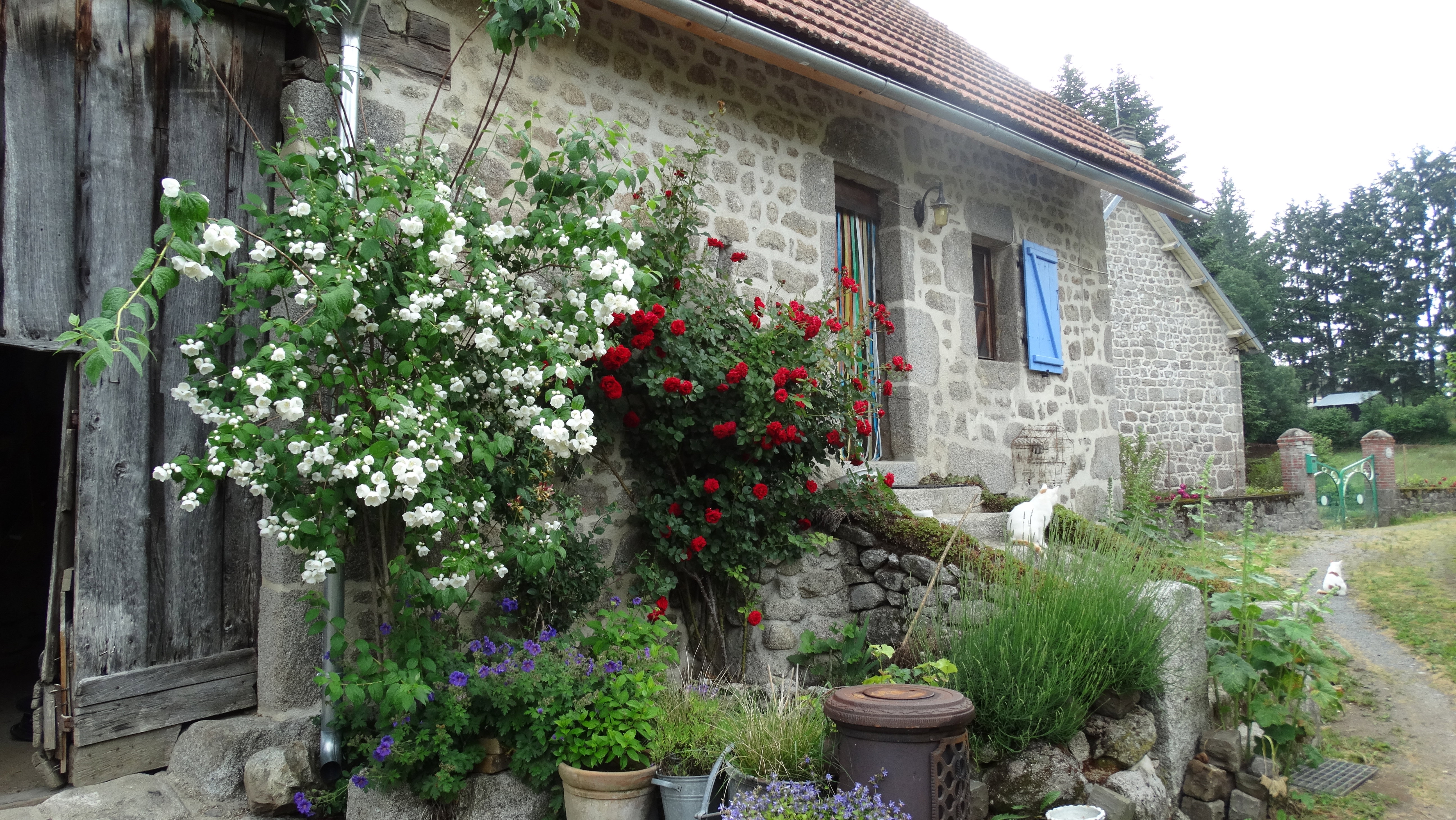 Casa nella natura a Saint agnant pres crocq