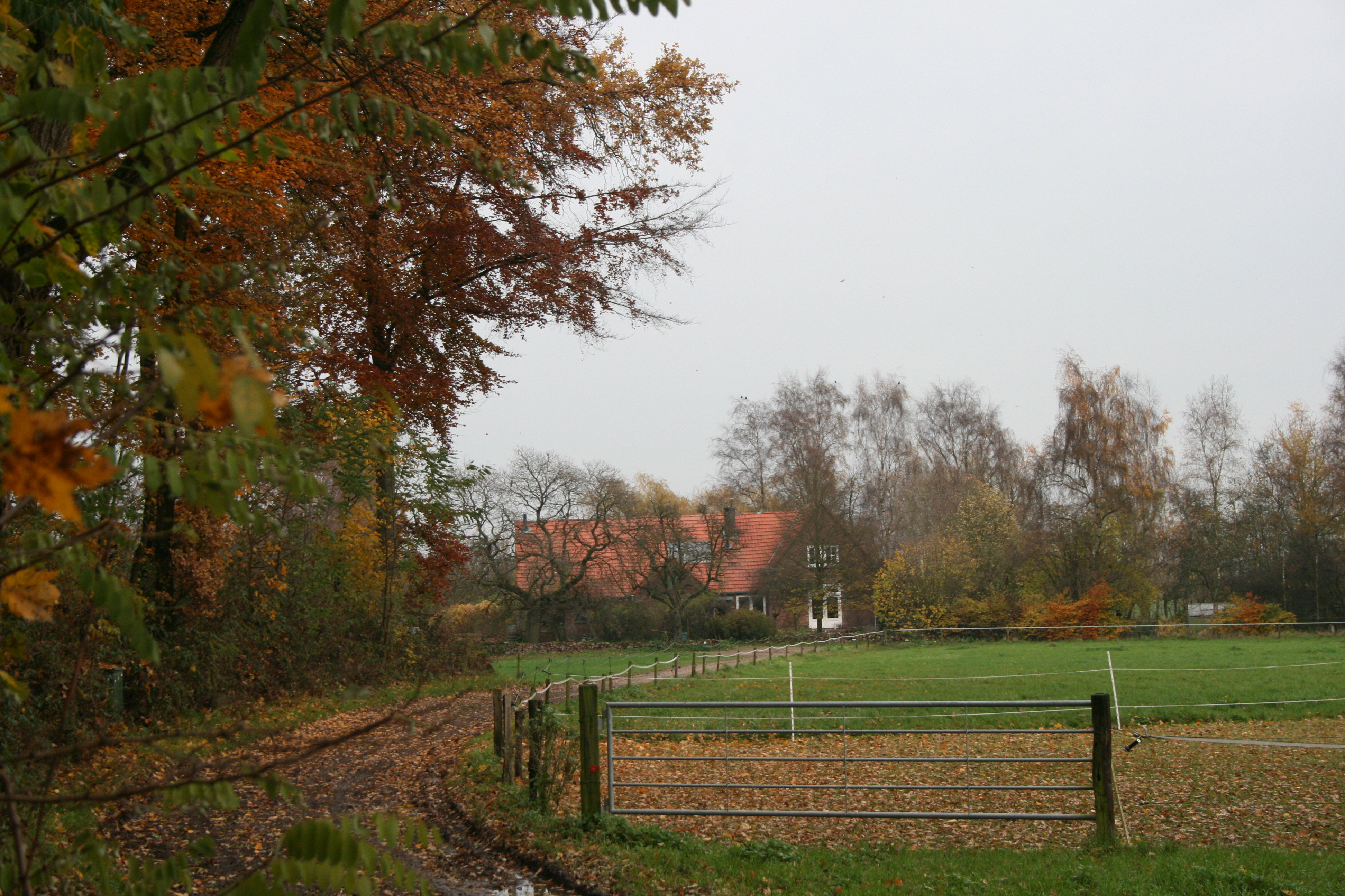 Naturhäuschen in Voorst Oude IJsselstreek