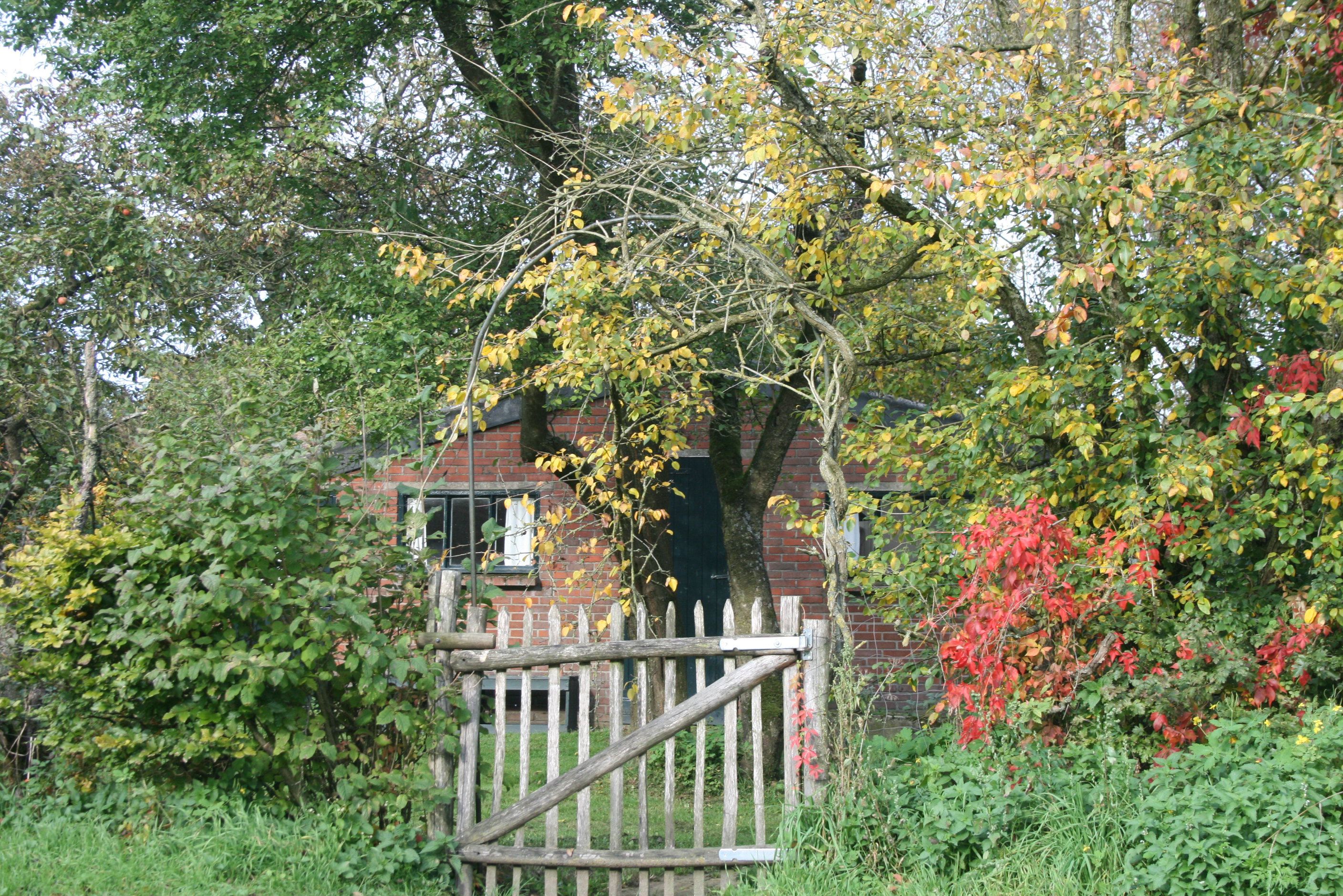 Naturhäuschen in Voorst Oude IJsselstreek