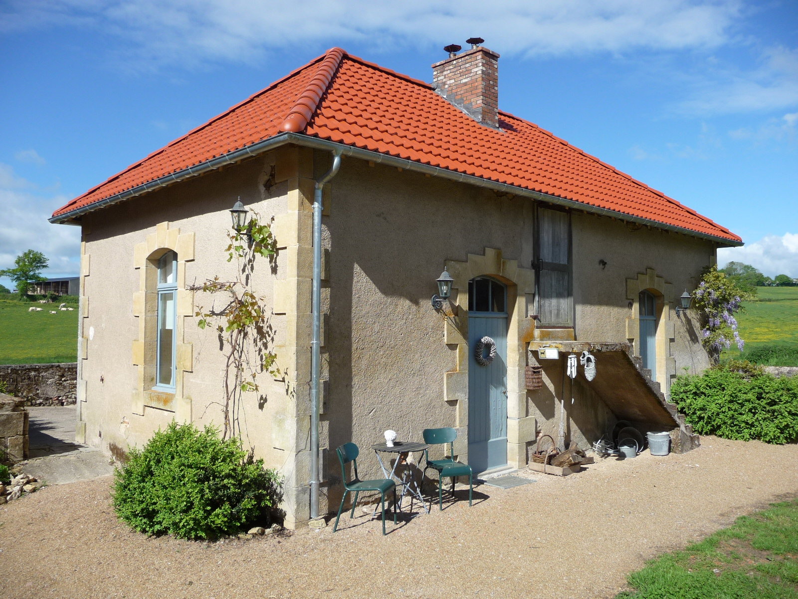 - image: 11