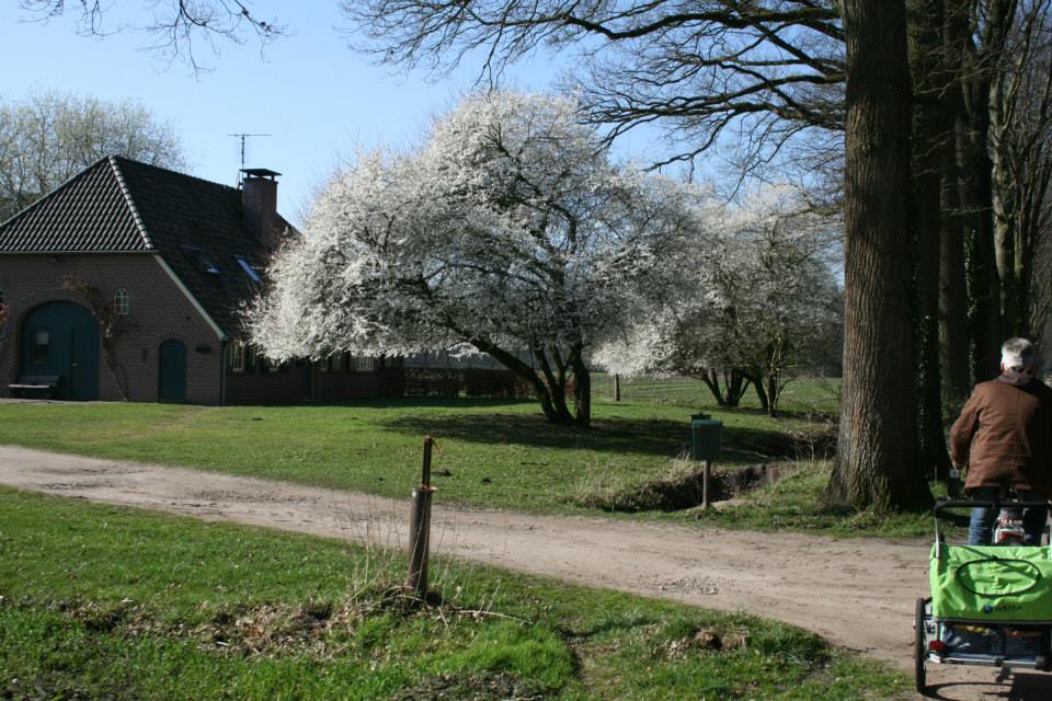 - image: 22