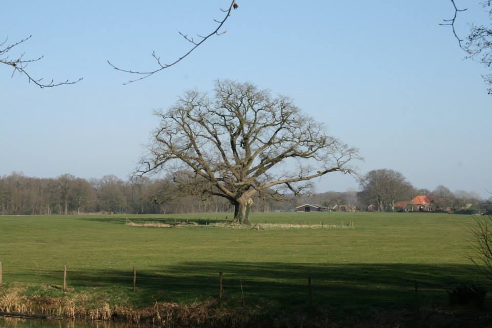 - image: 24