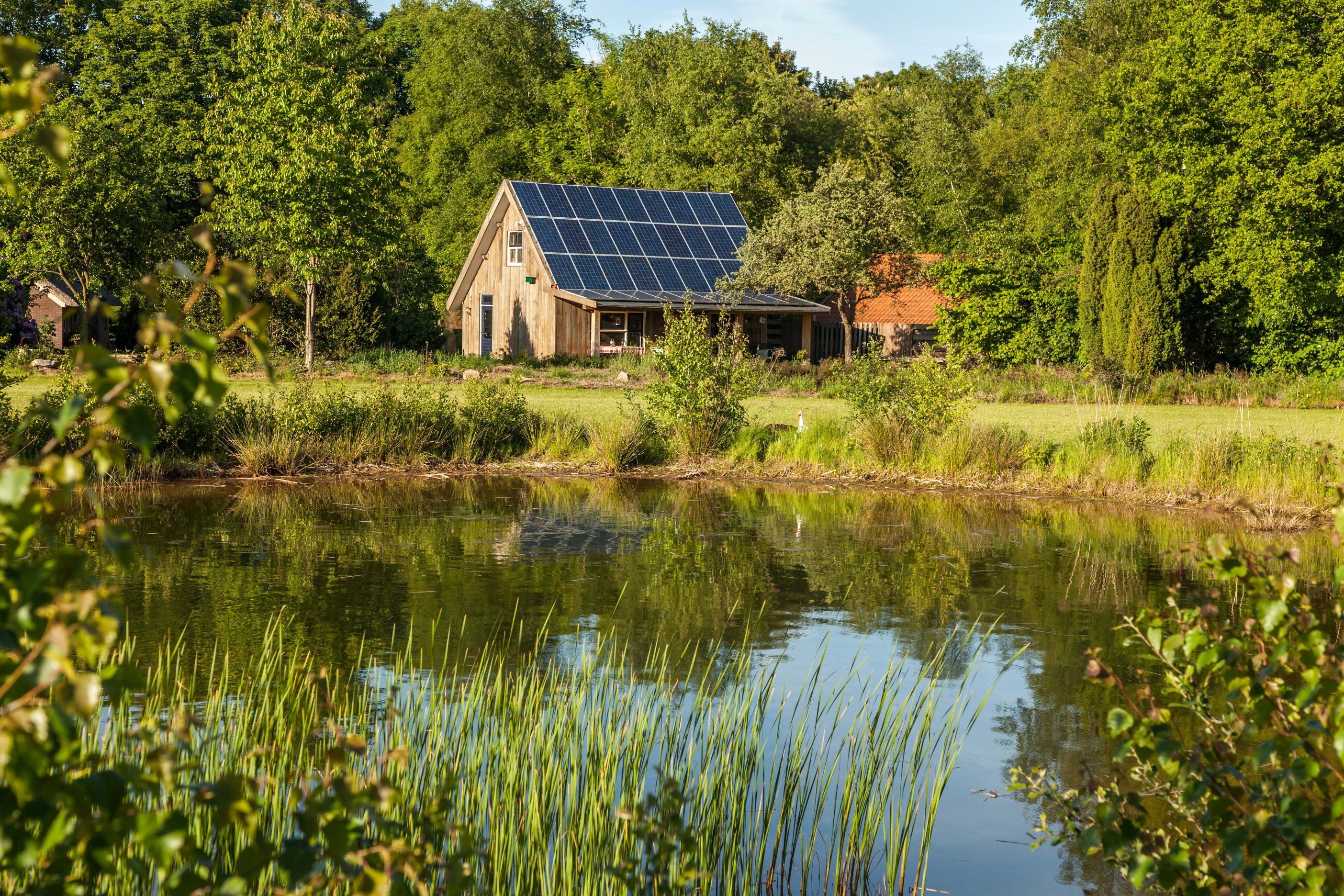 Maison nature à Eext