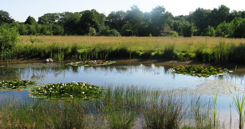 Maison nature à Eext