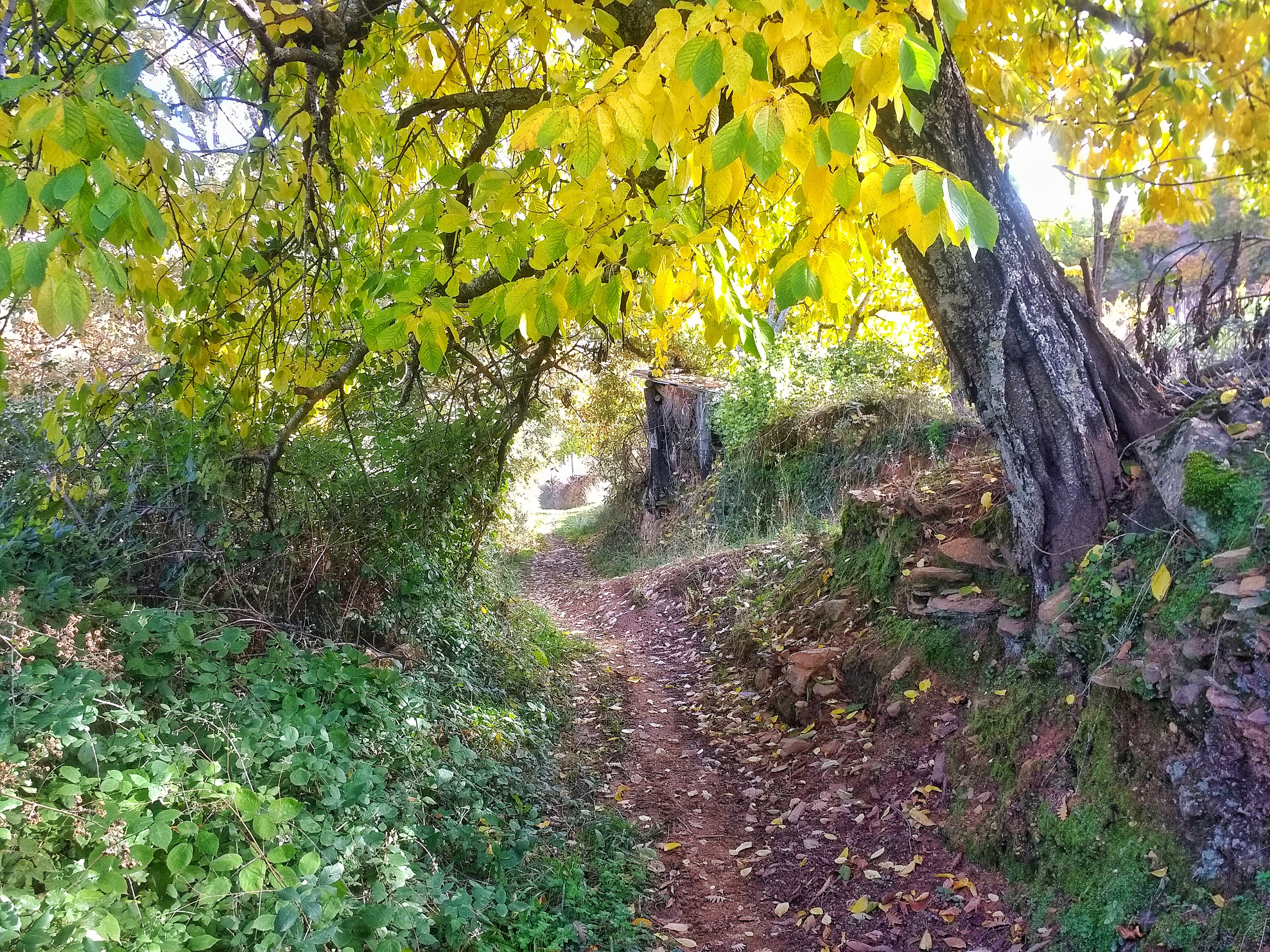Naturhäuschen in Berzocana