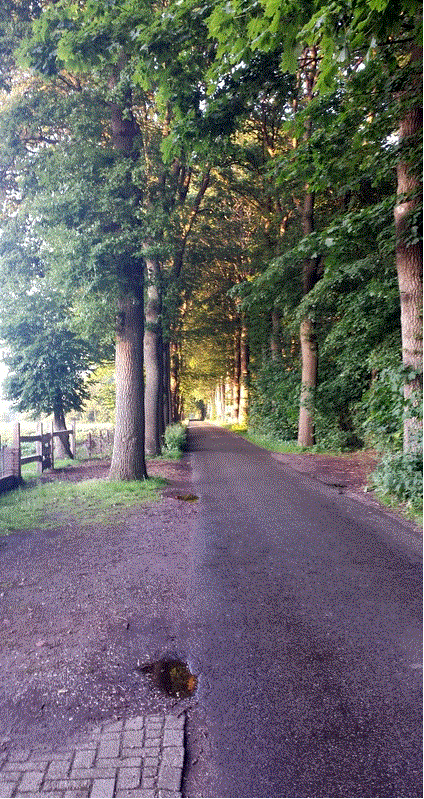 - image: 19
