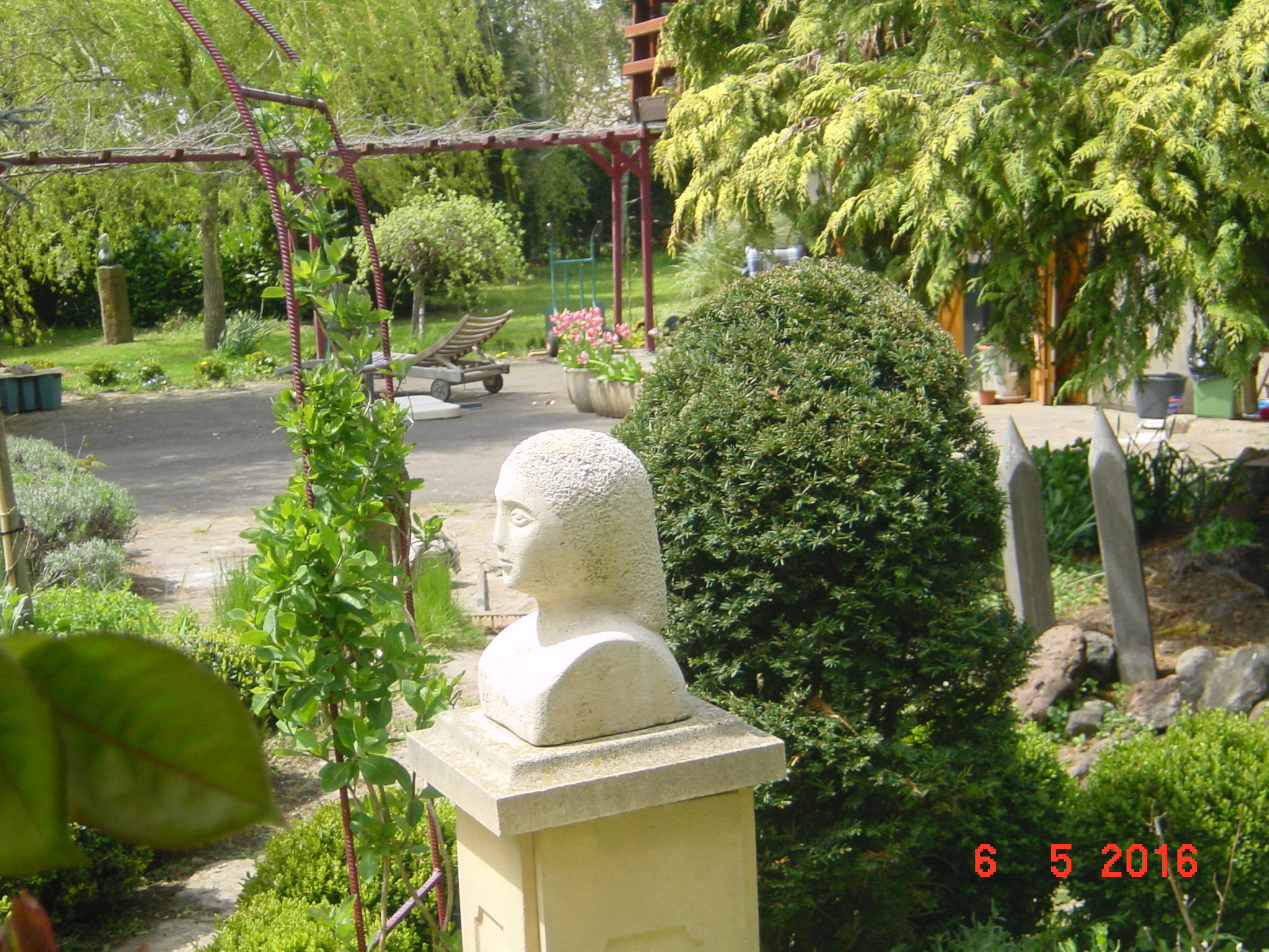 - image: 20