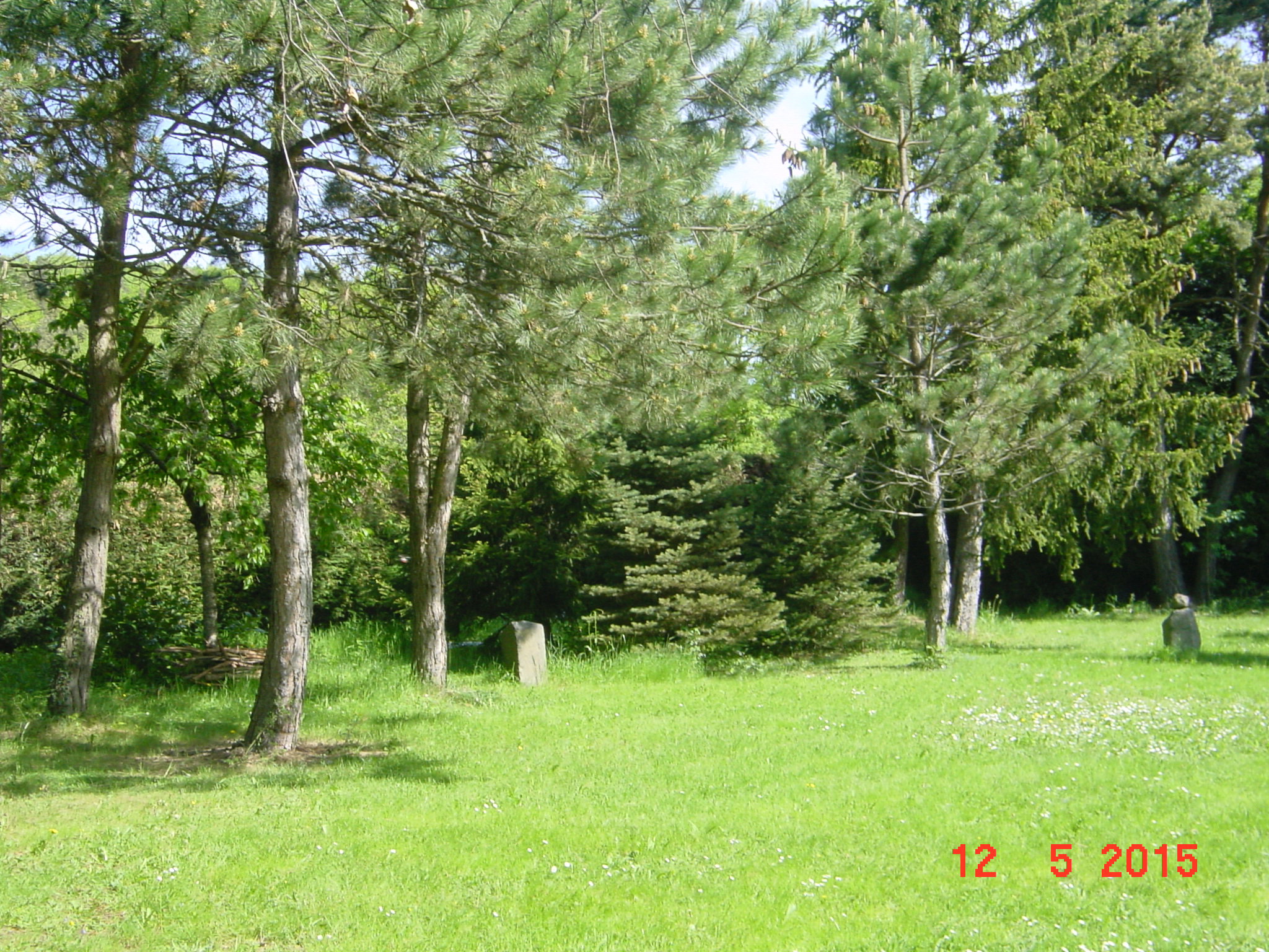 - image: 28