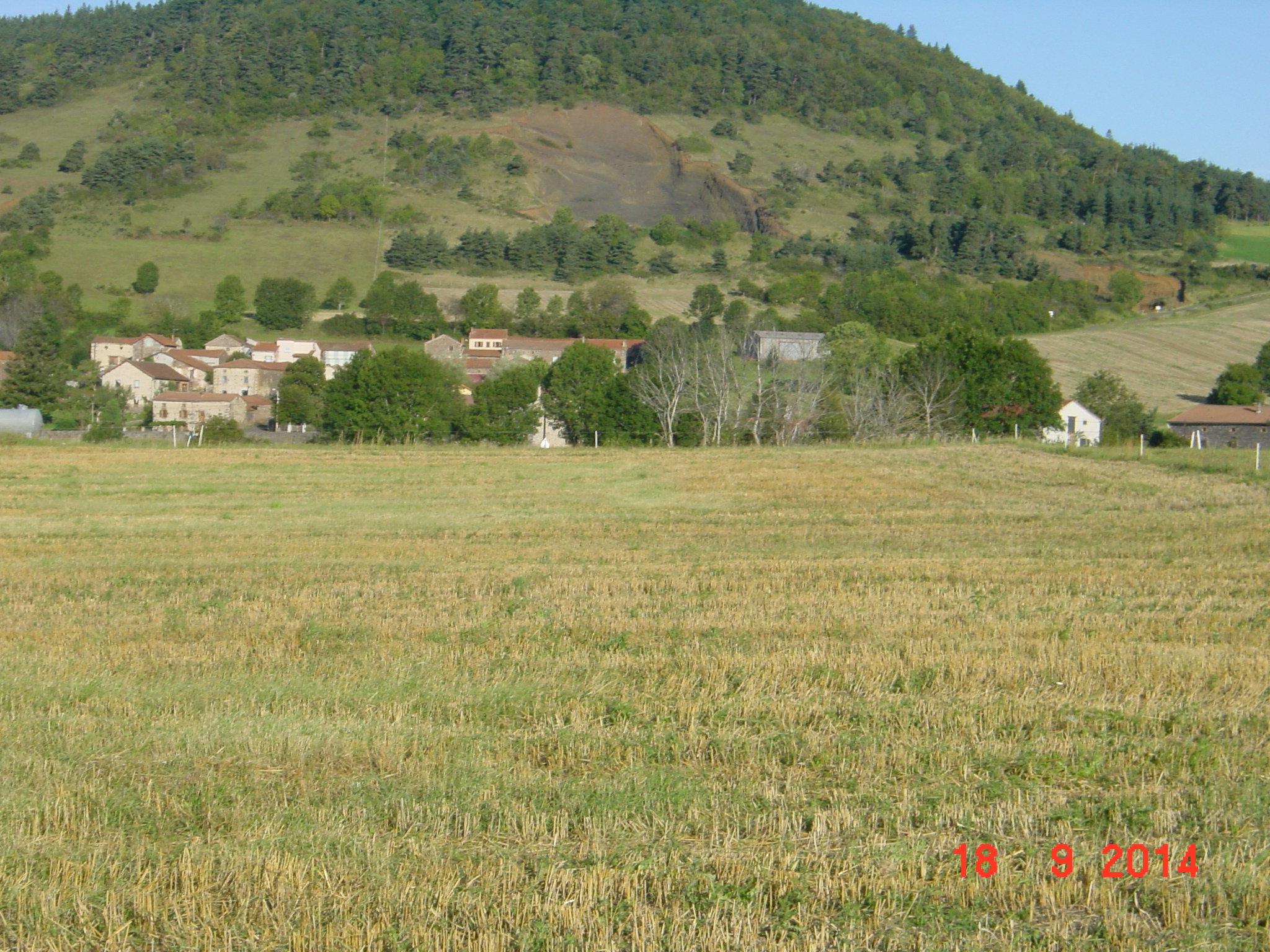 - image: 29