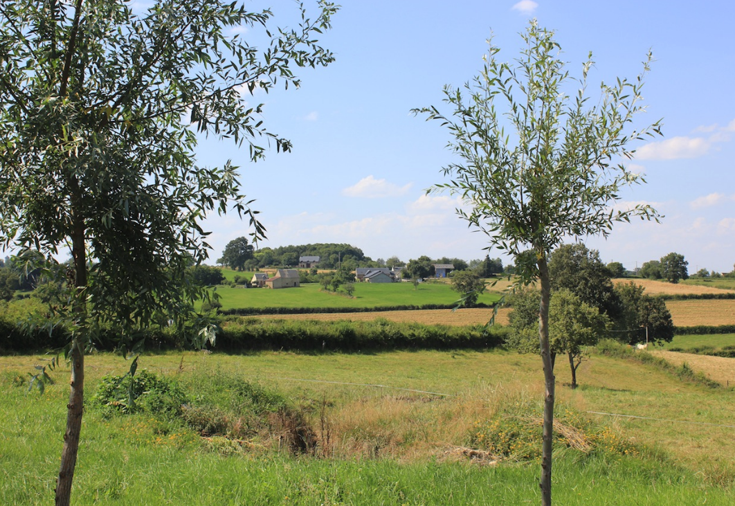 - image: 28
