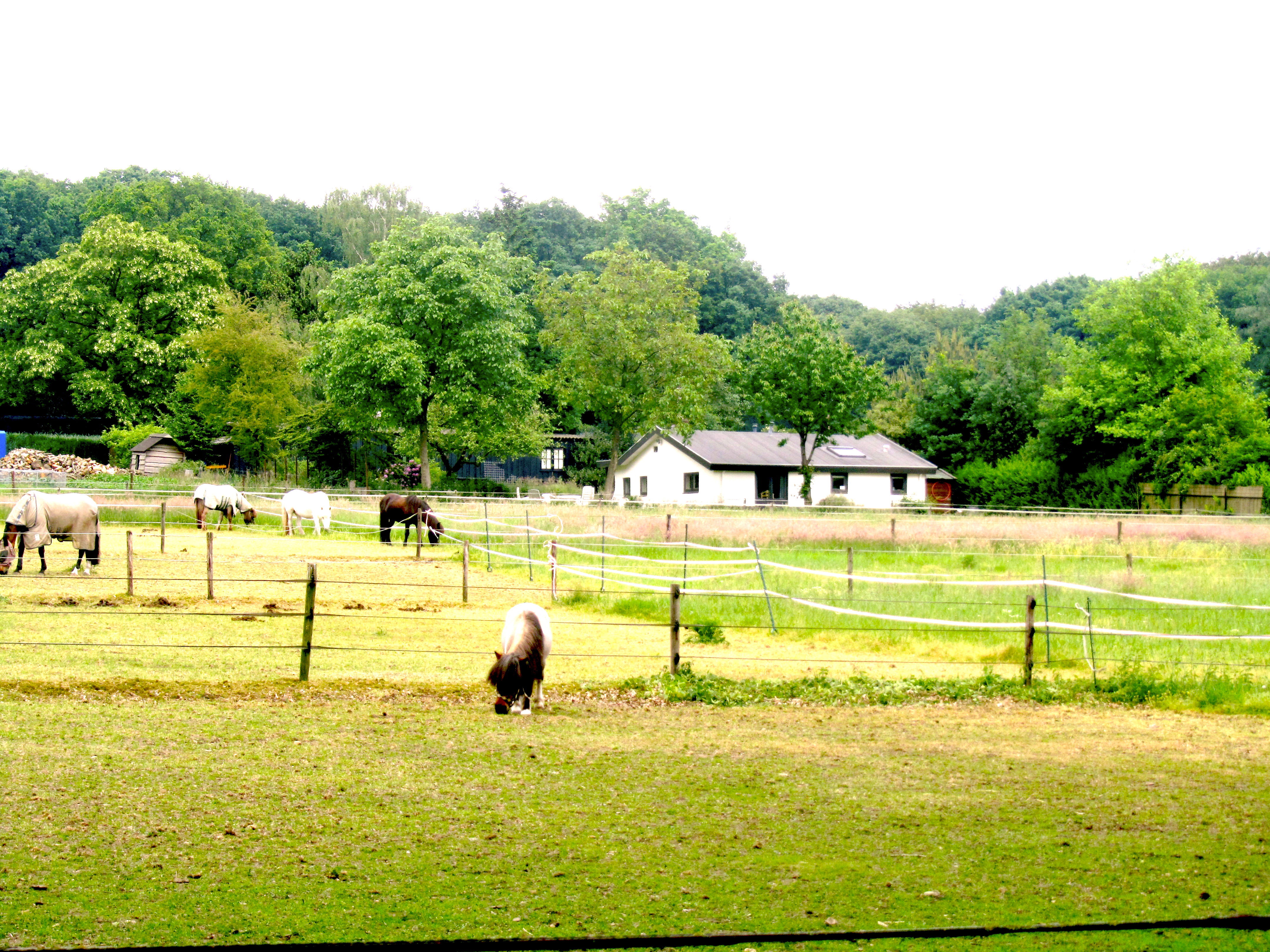 Naturhäuschen in Rhenen