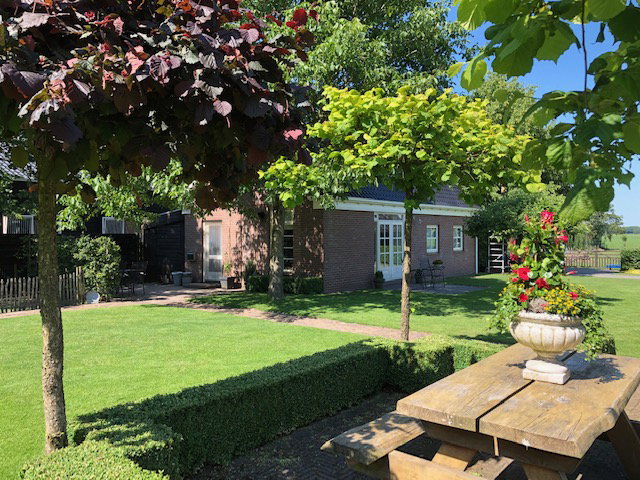 - image: 2