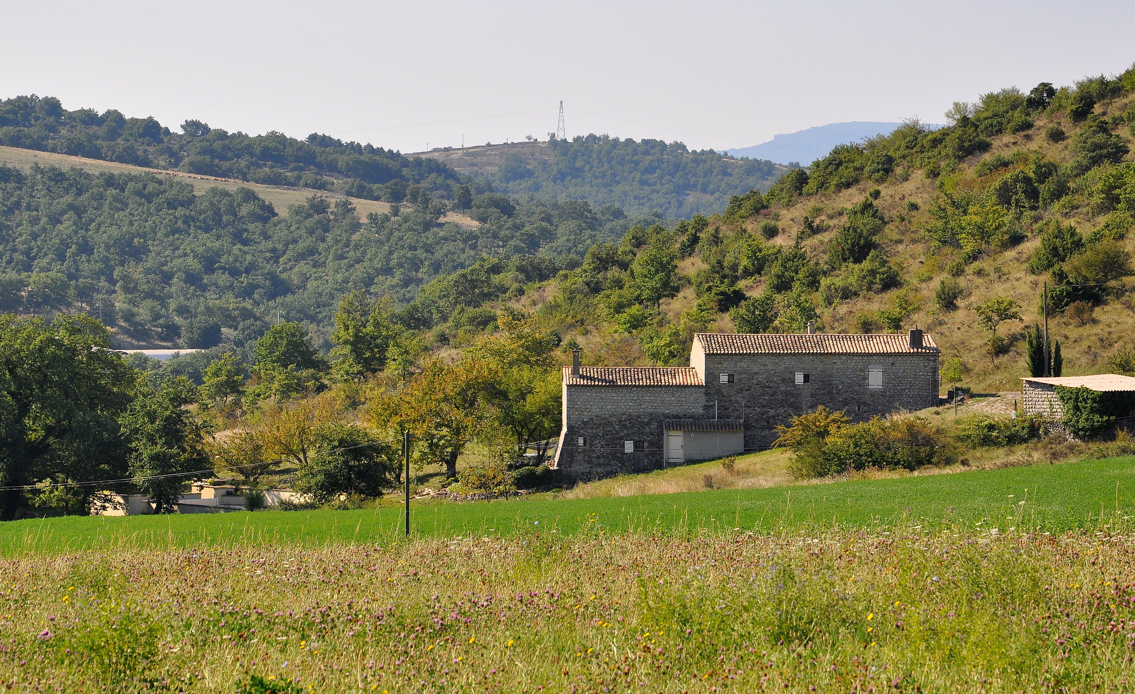 - image: 12
