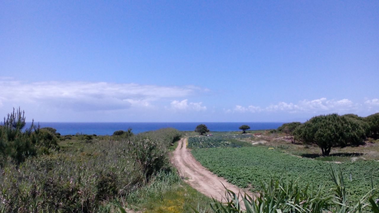 - image: 12