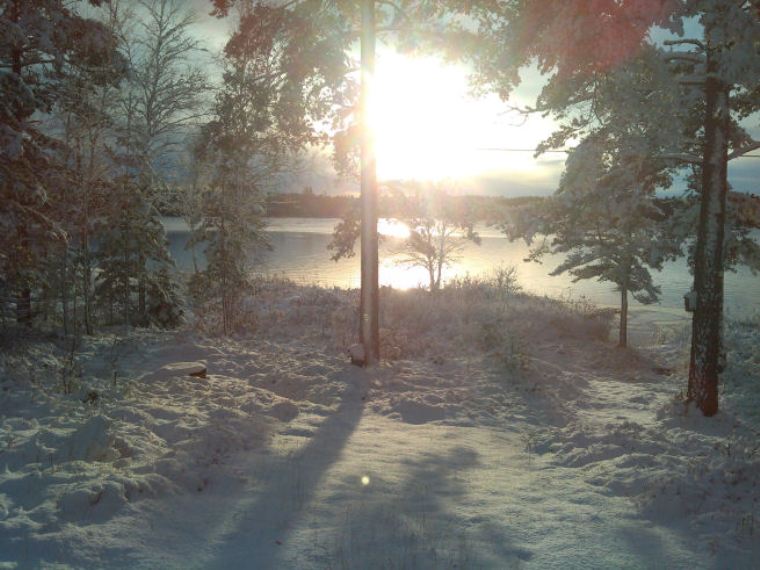 - image: 29