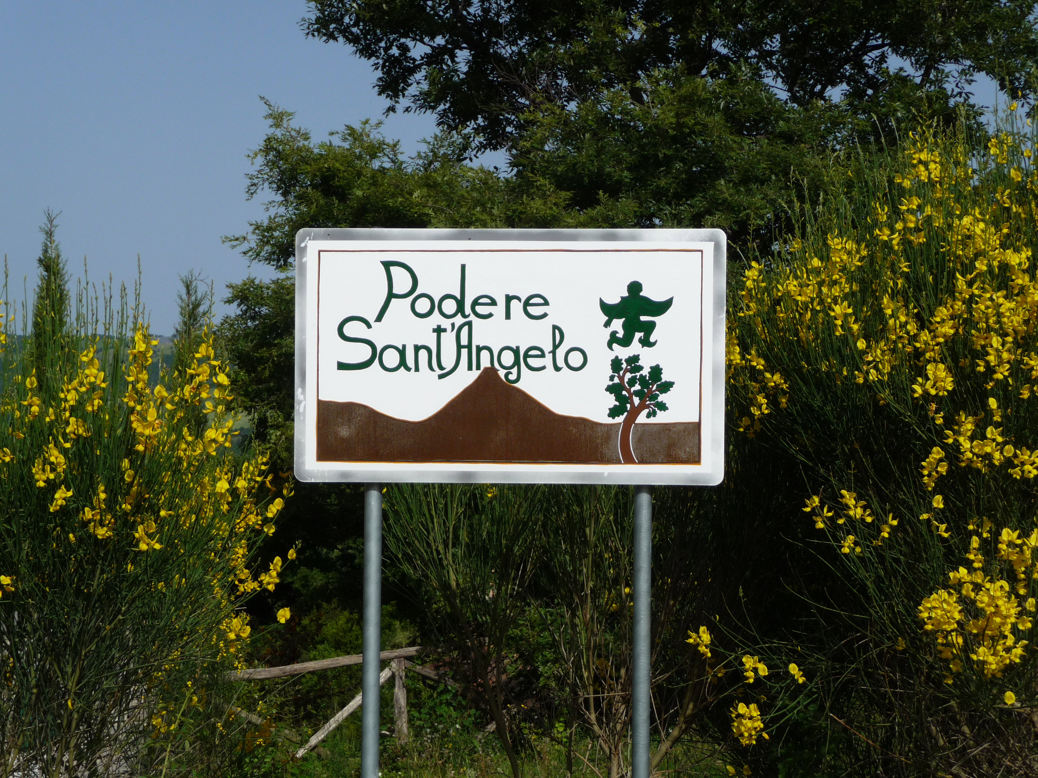 - image: 23
