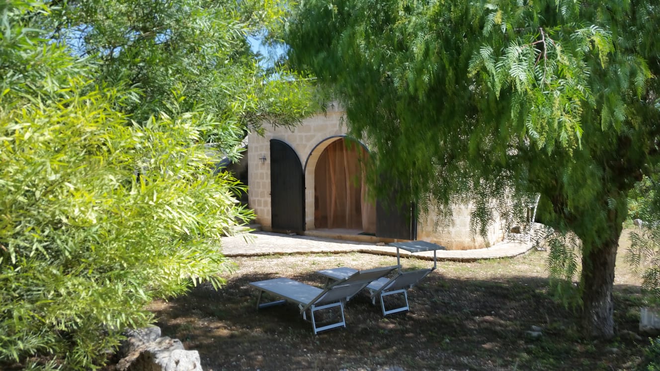 - image: 11