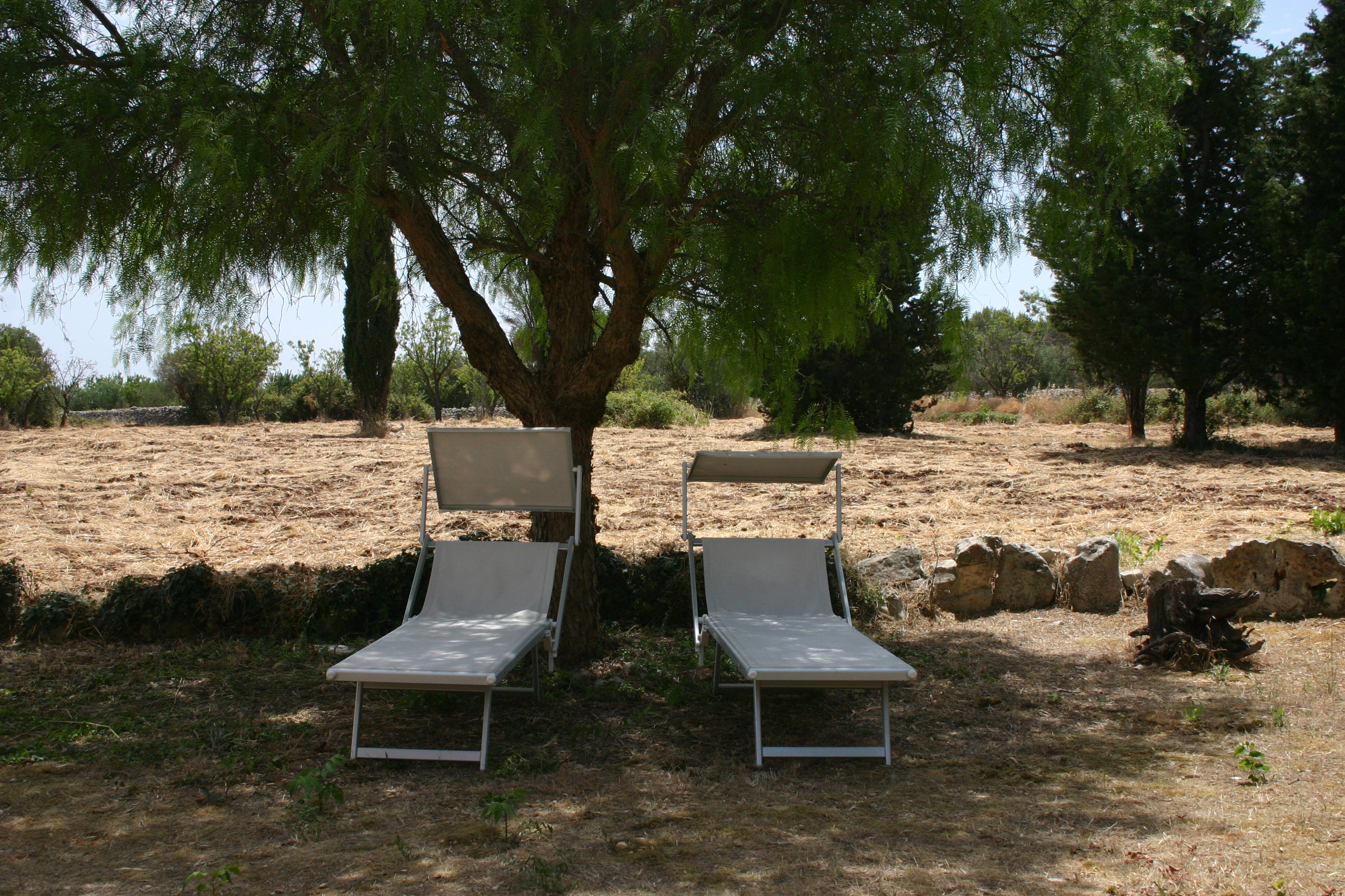 - image: 19