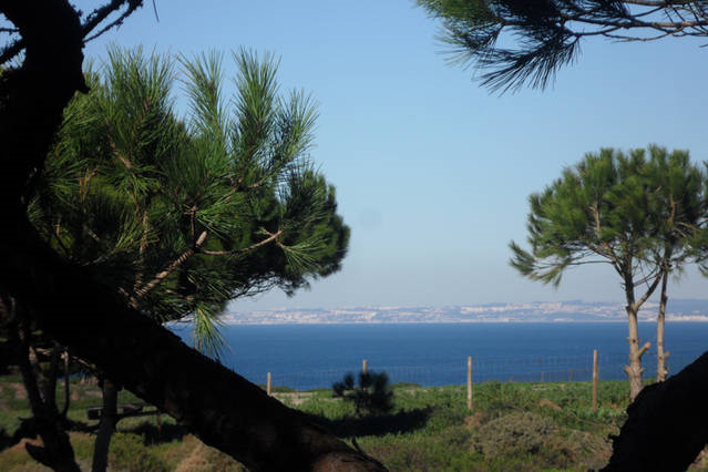 Maison nature à Casais da Azoia (Cabo Espichel)