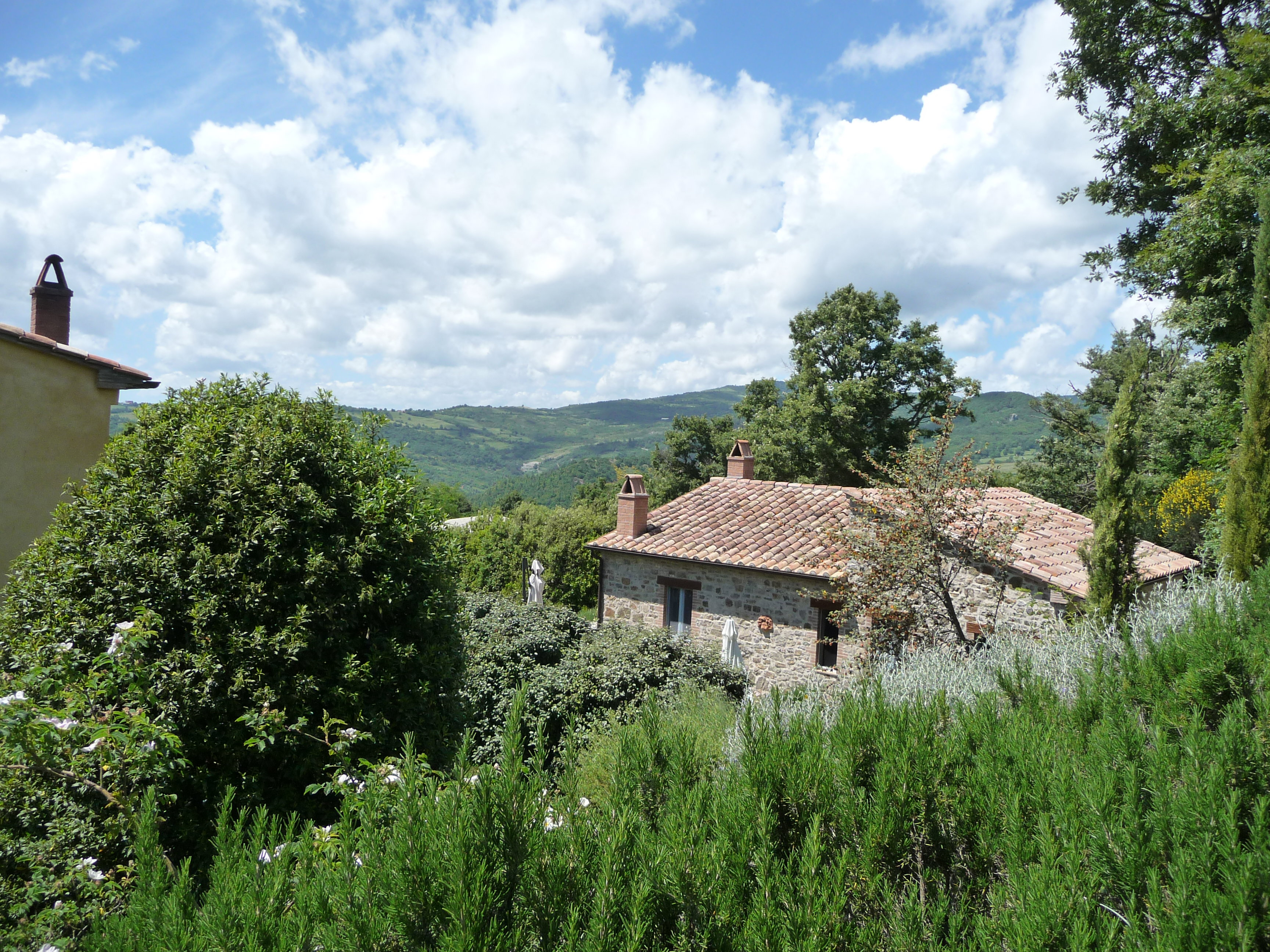 - image: 21